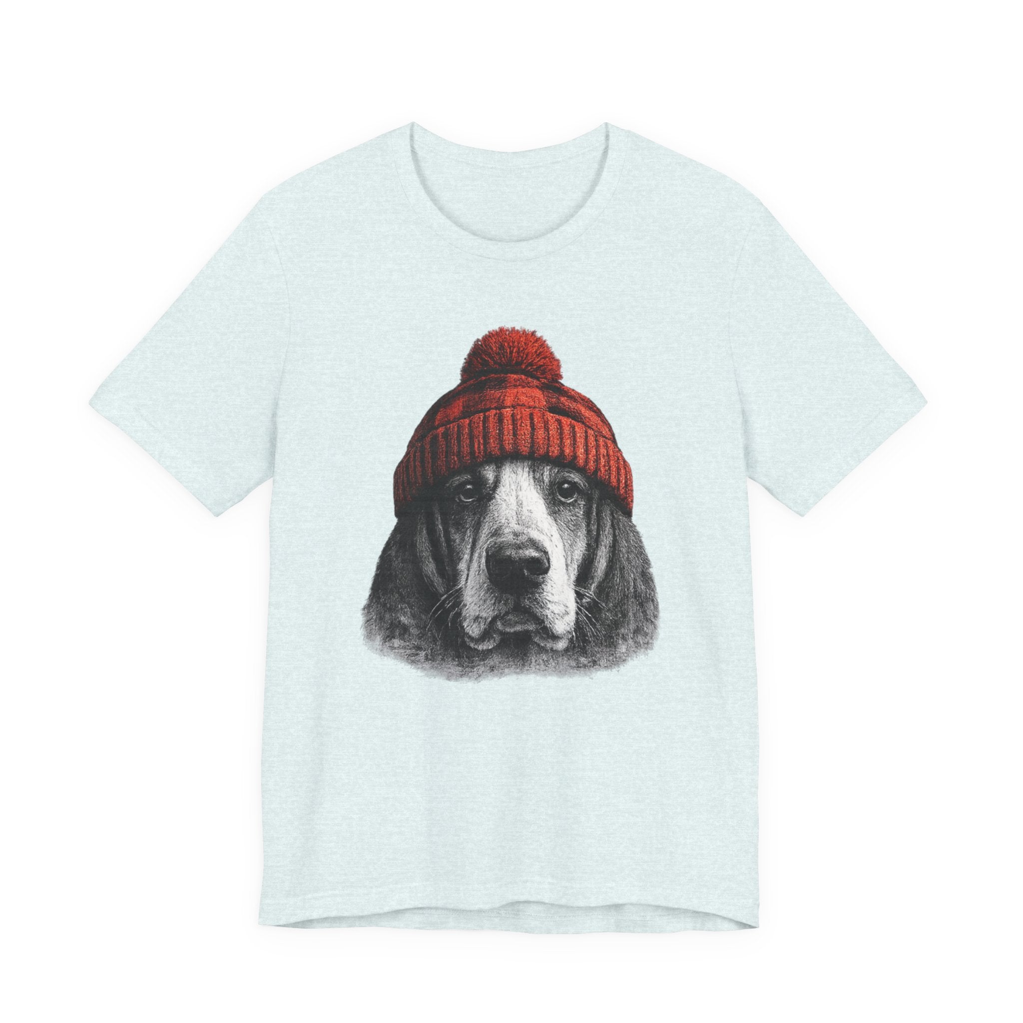 Basset in a Beanie