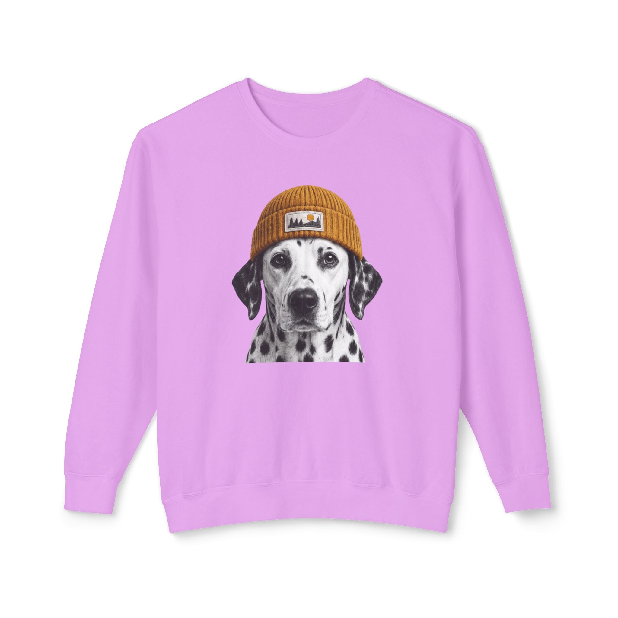 Dalmatian Beanie Sweatshirt