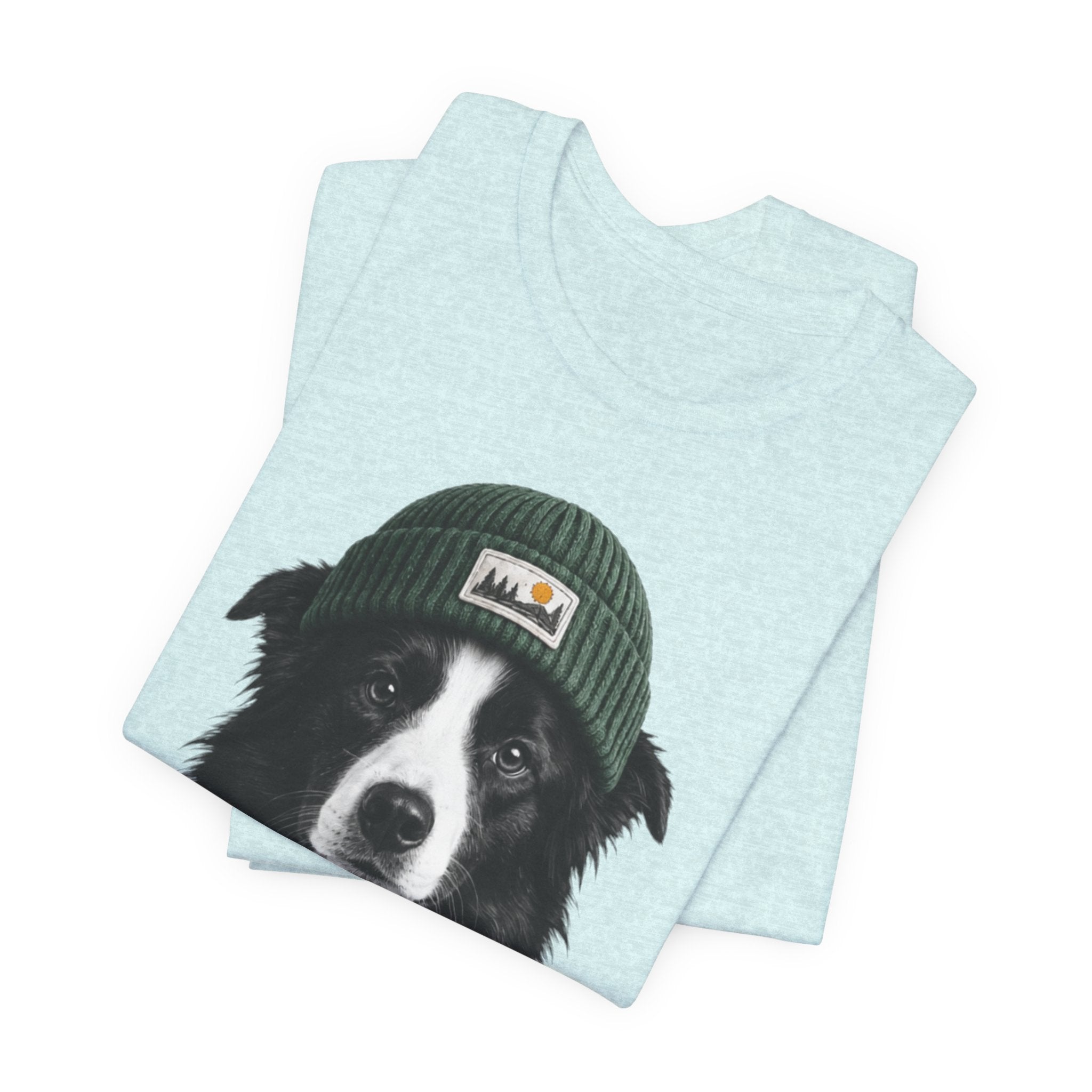 Border Collie in a Beanie
