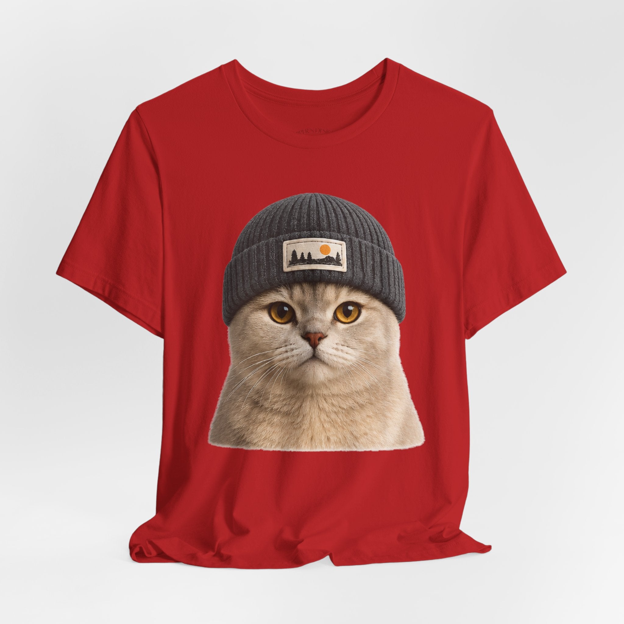 British Shorthair Cat in a Beanie