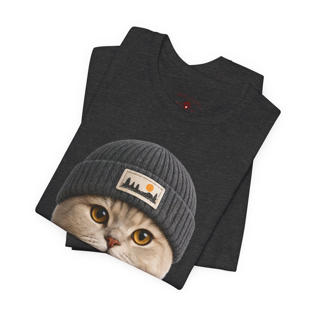 British Shorthair Cat in a Beanie