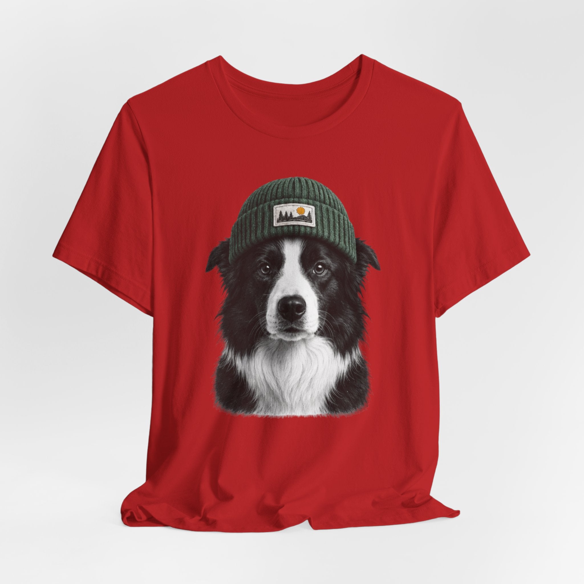 Border Collie in a Beanie