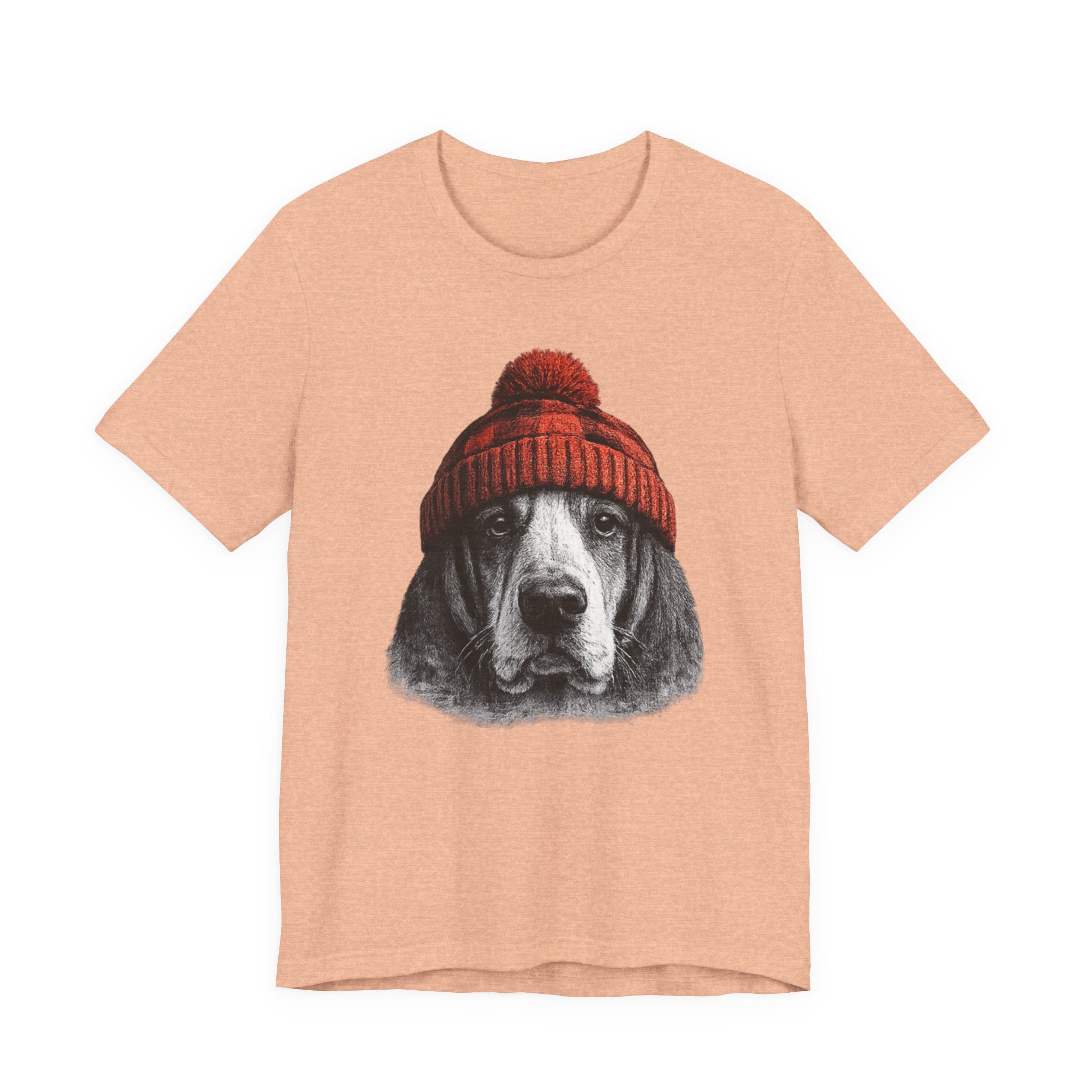 Basset in a Beanie