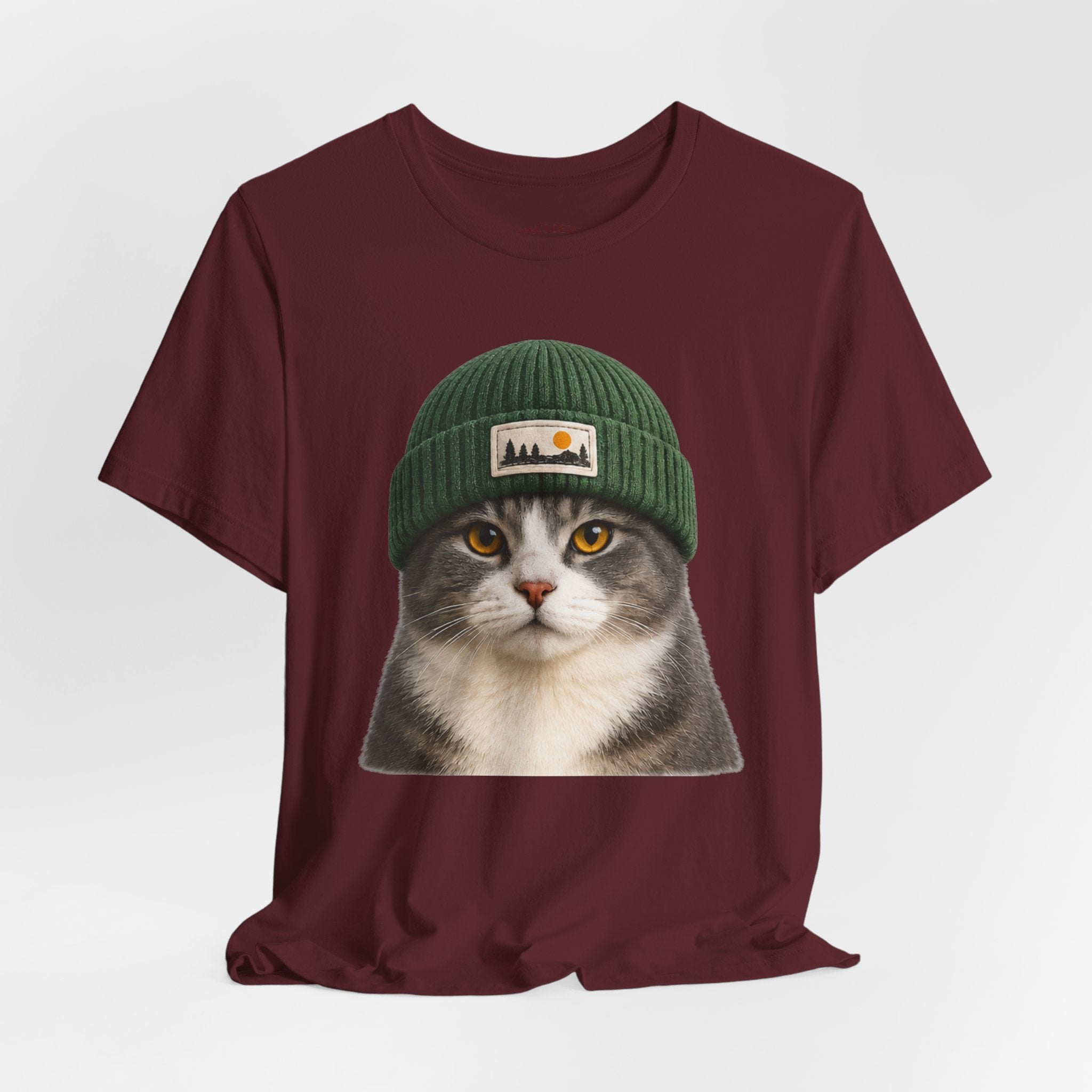 Cat in a Beanie