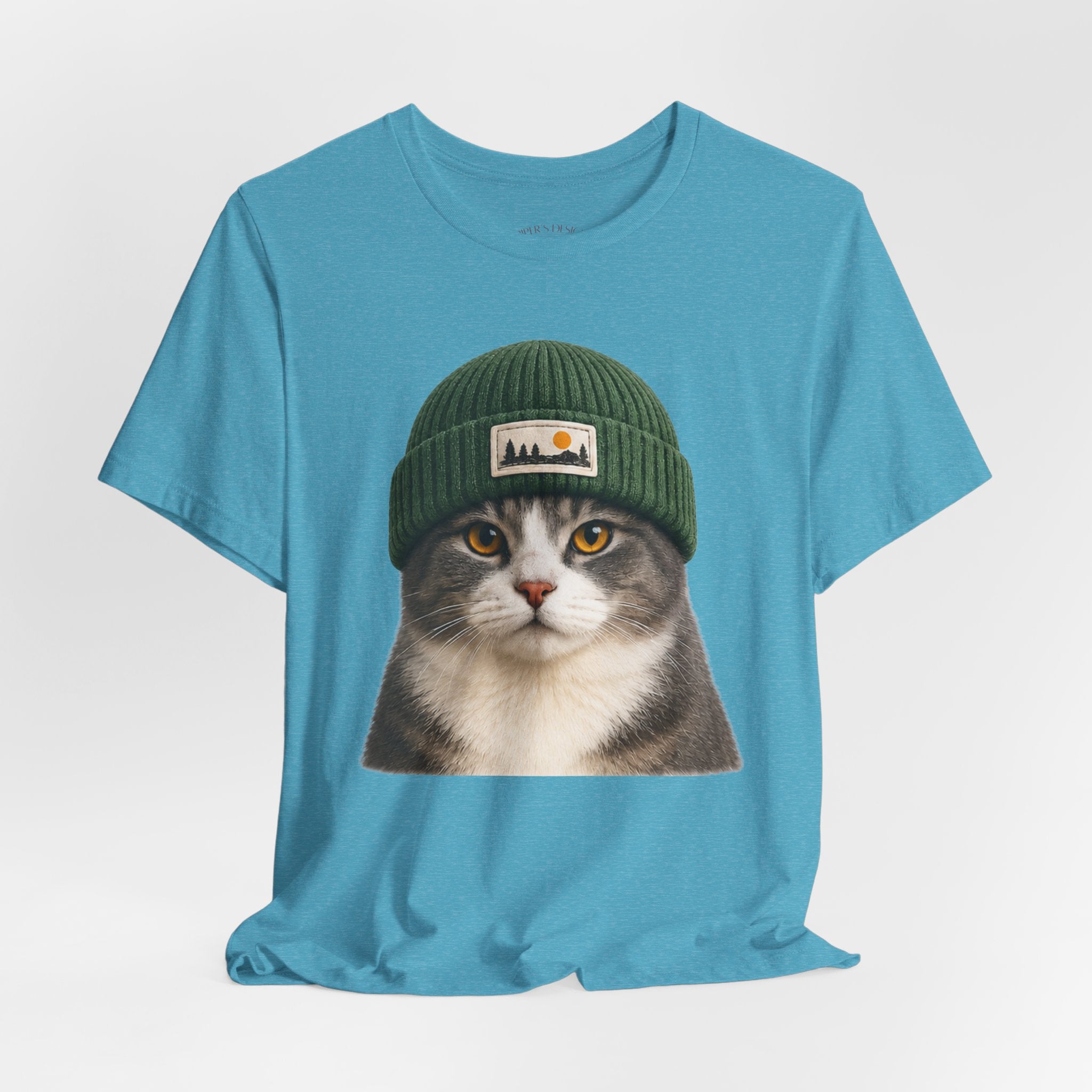 Cat in a Beanie