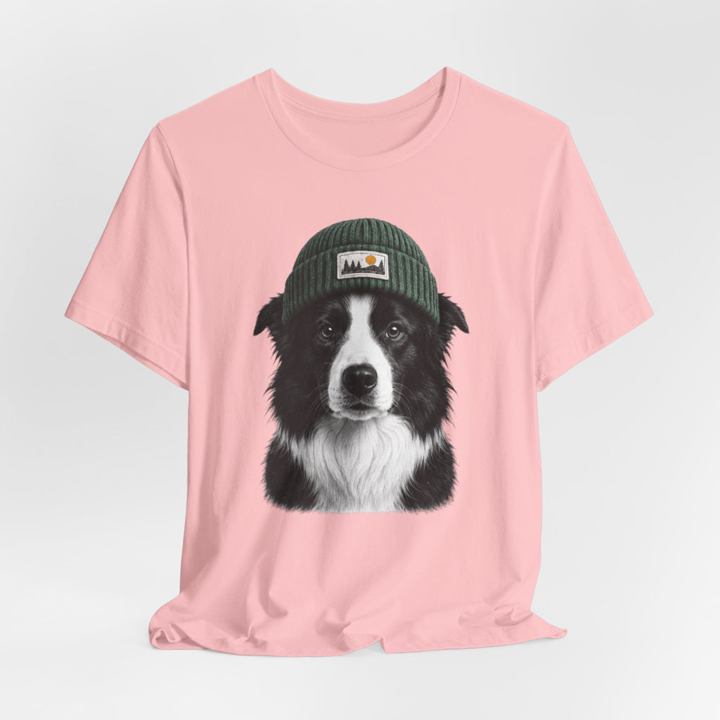 Border Collie in a Beanie