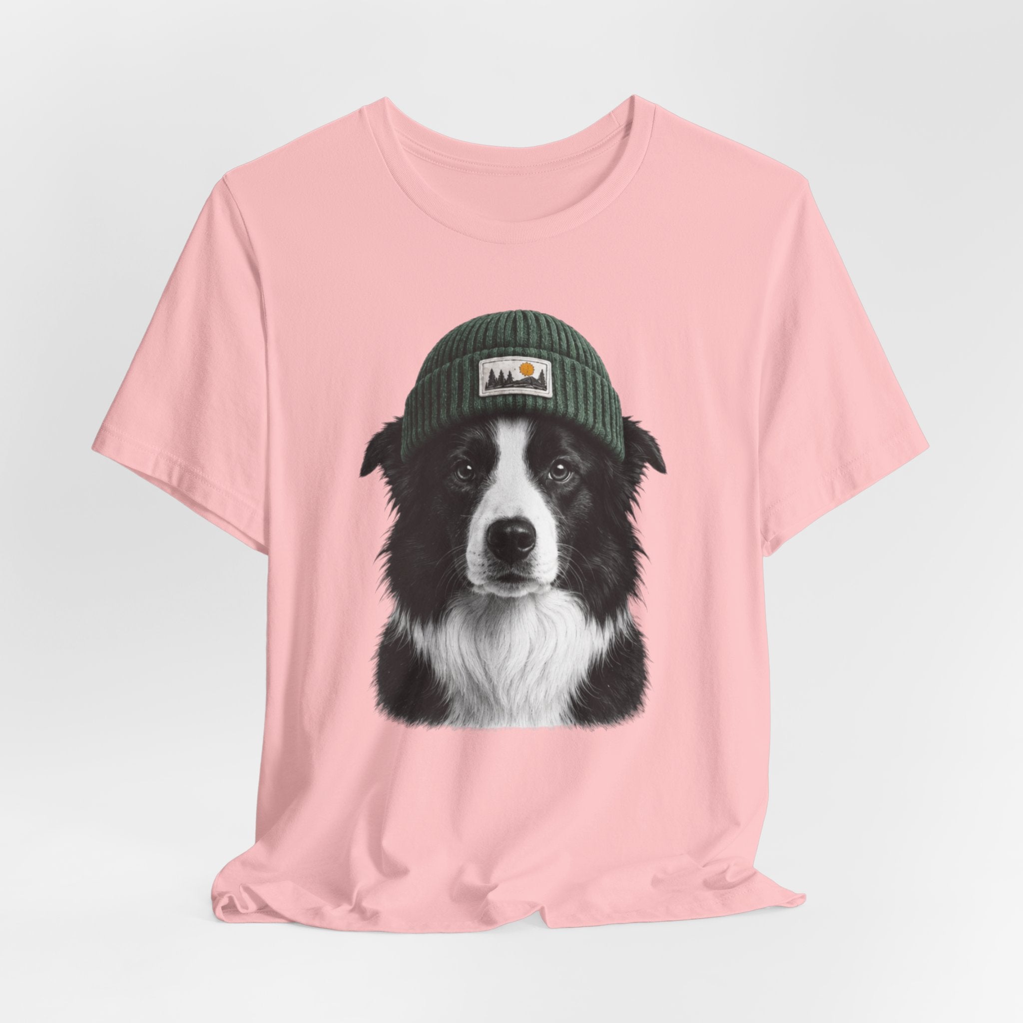 Border Collie in a Beanie
