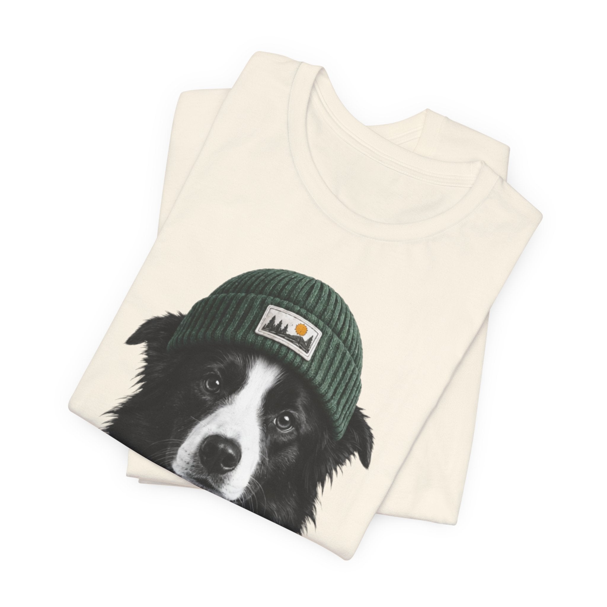Border Collie in a Beanie