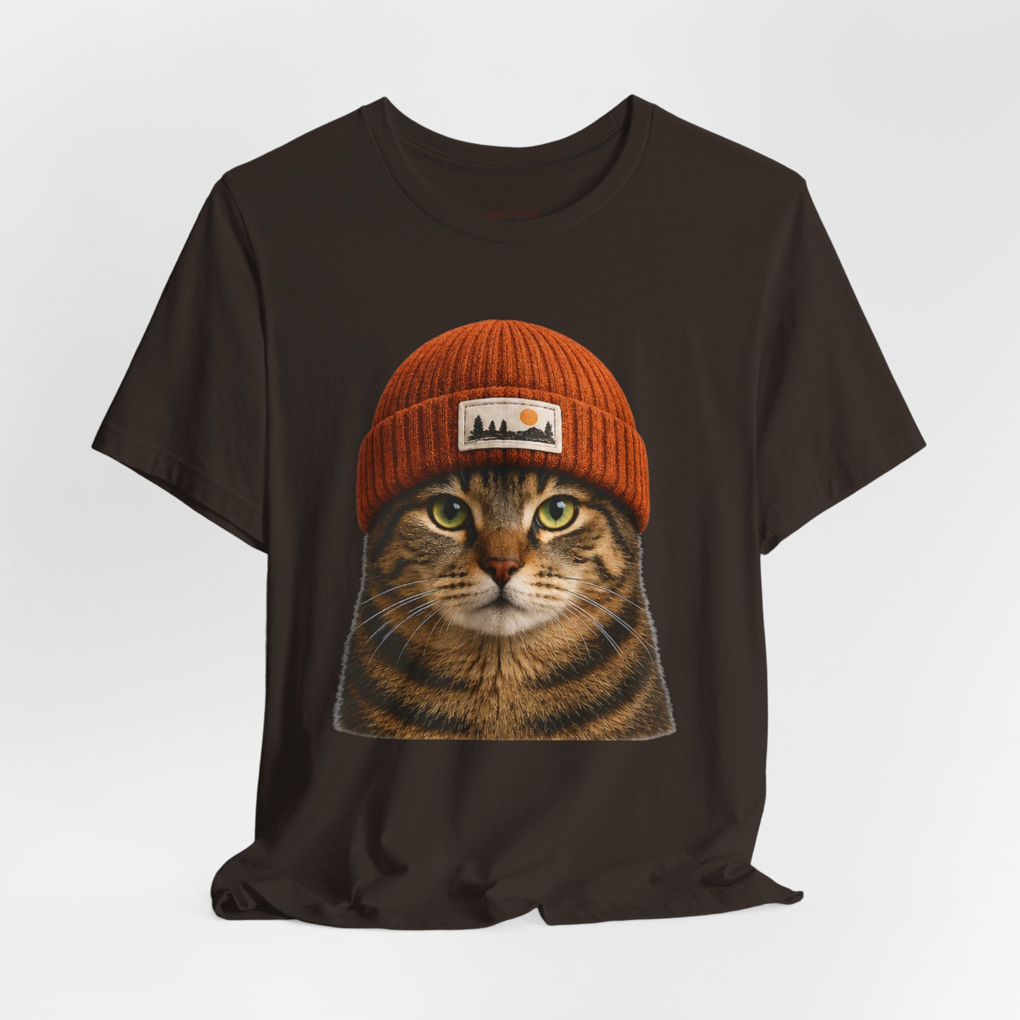 Tabby Cat in a Beanie