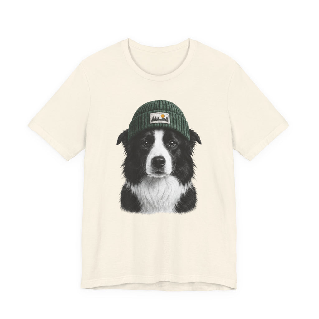 Border Collie in a Beanie