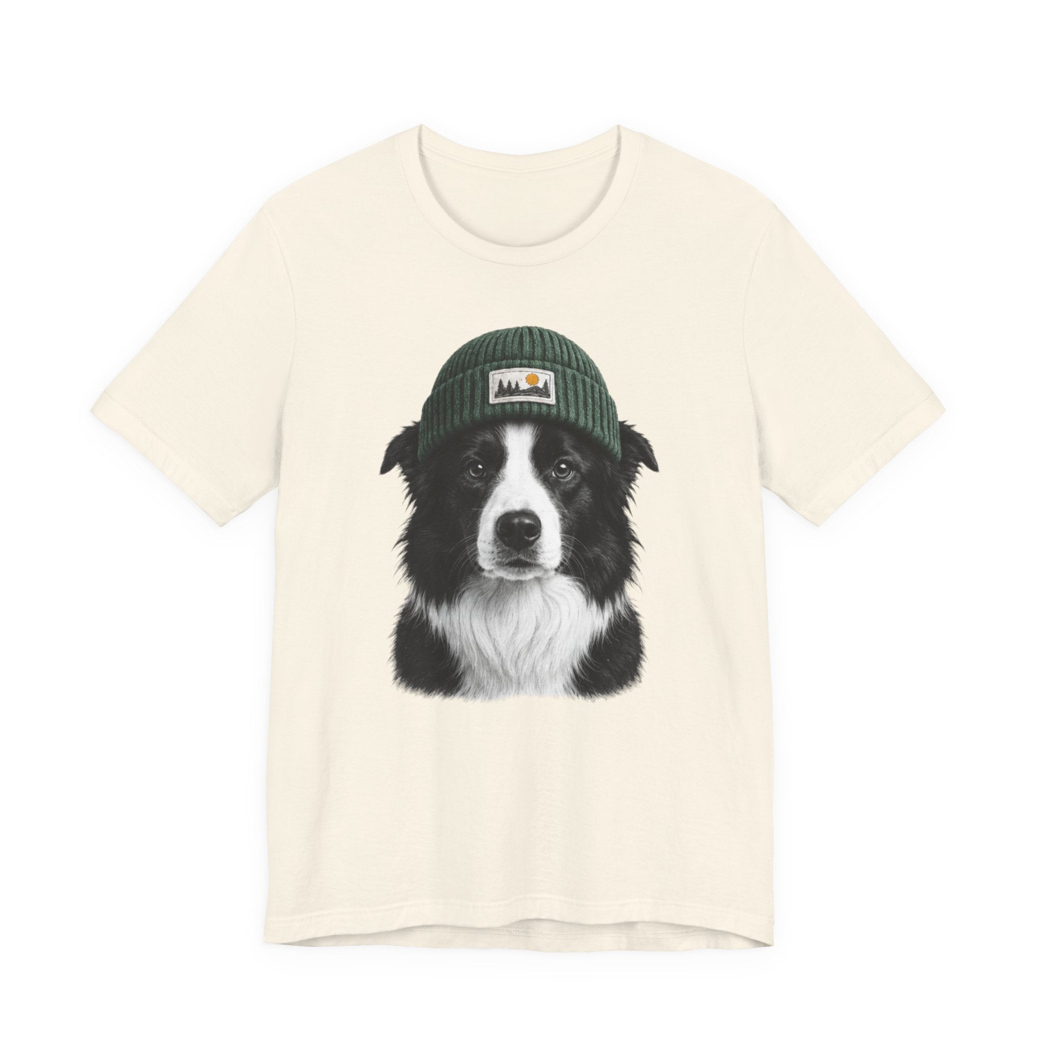 Border Collie in a Beanie