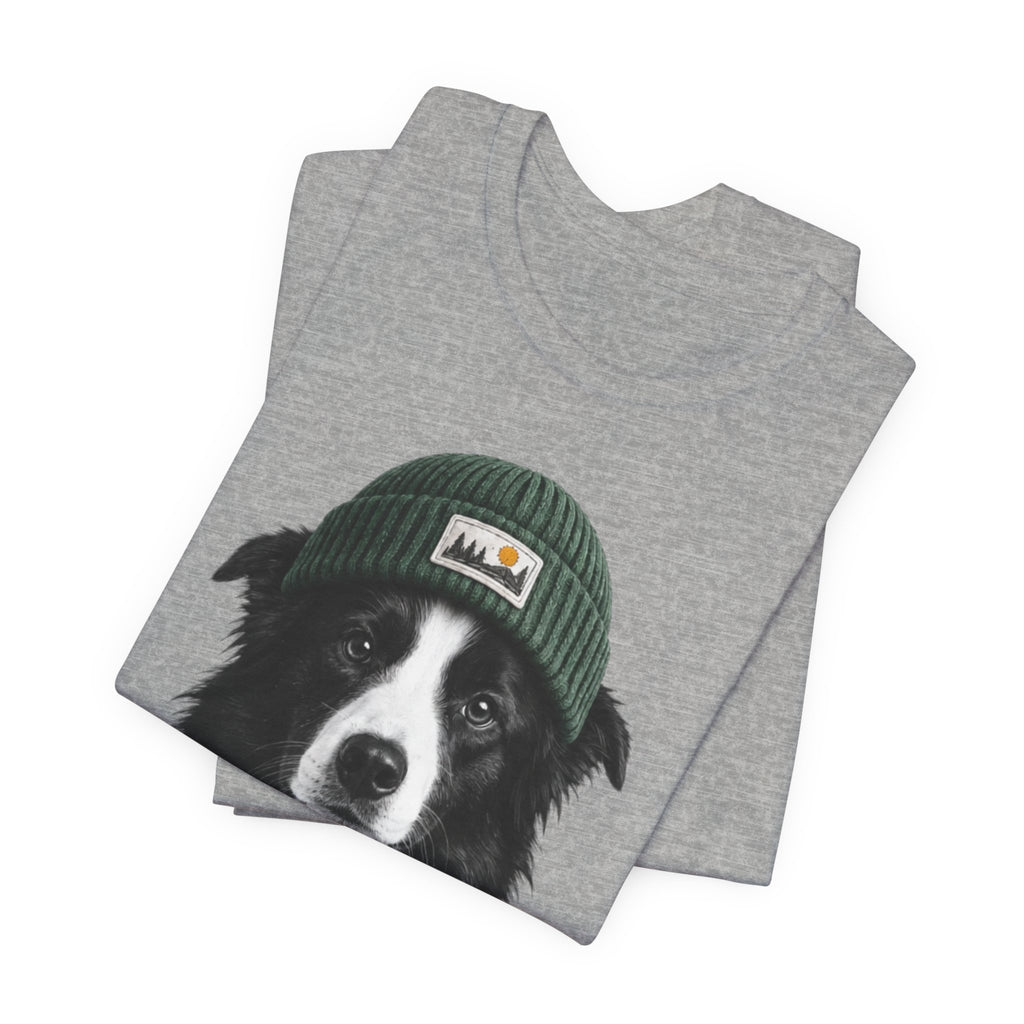 Border Collie in a Beanie