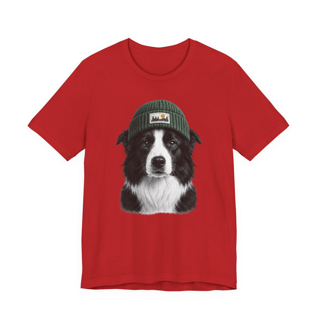 Border Collie in a Beanie