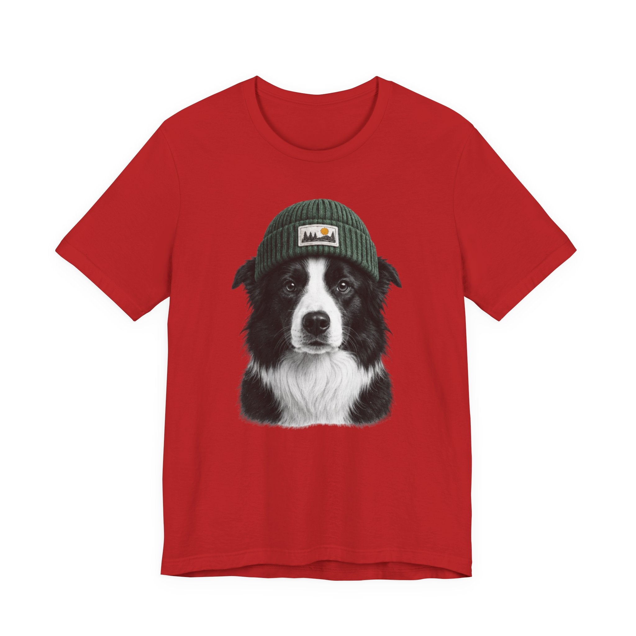 Border Collie in a Beanie