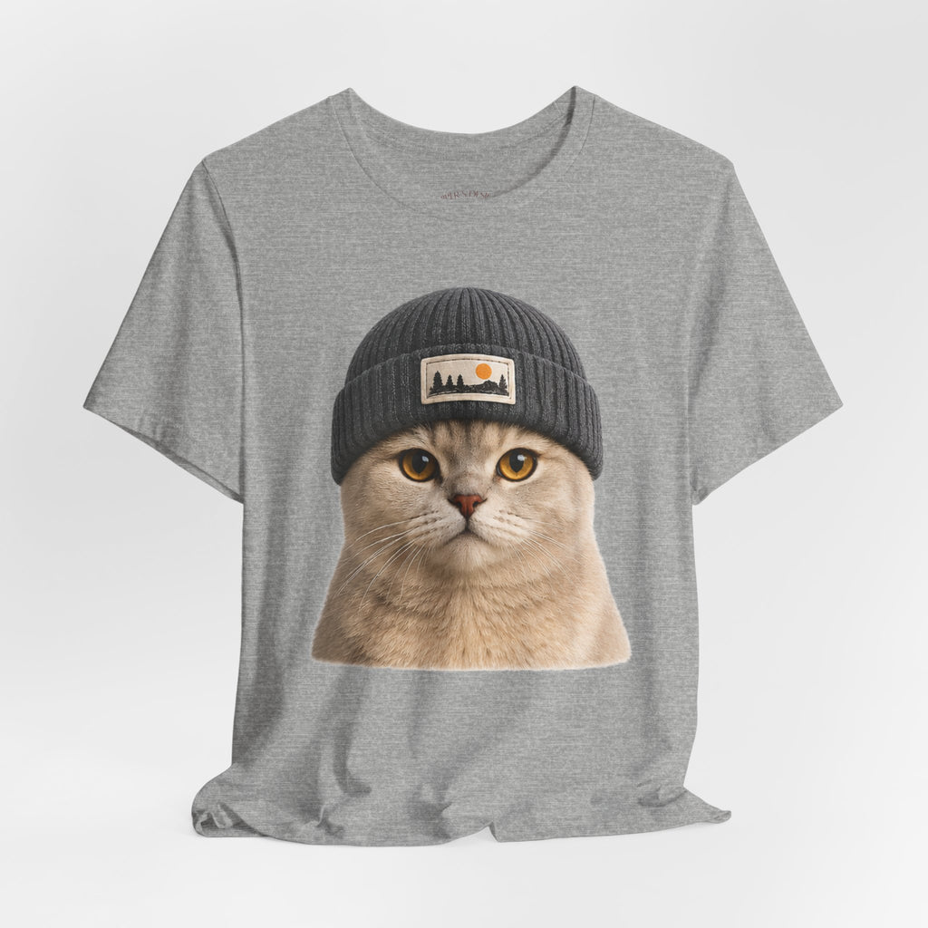 British Shorthair Cat in a Beanie