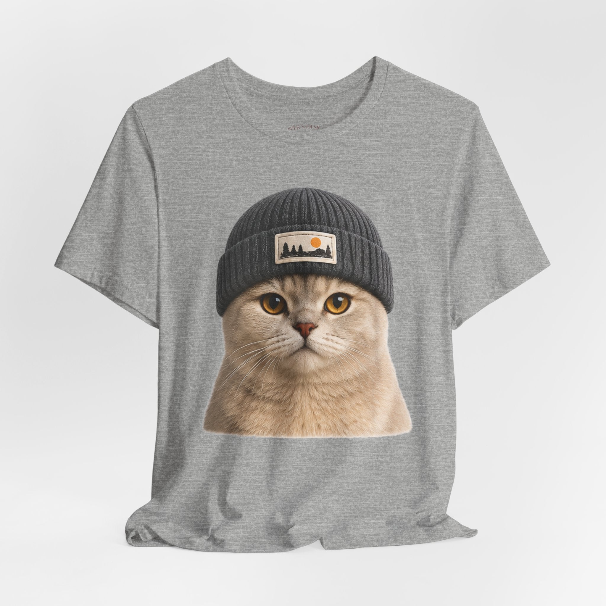 British Shorthair Cat in a Beanie