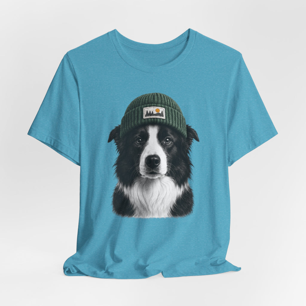 Border Collie in a Beanie