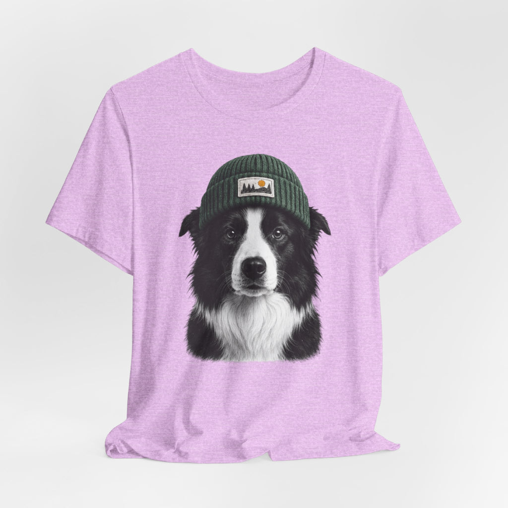 Border Collie in a Beanie