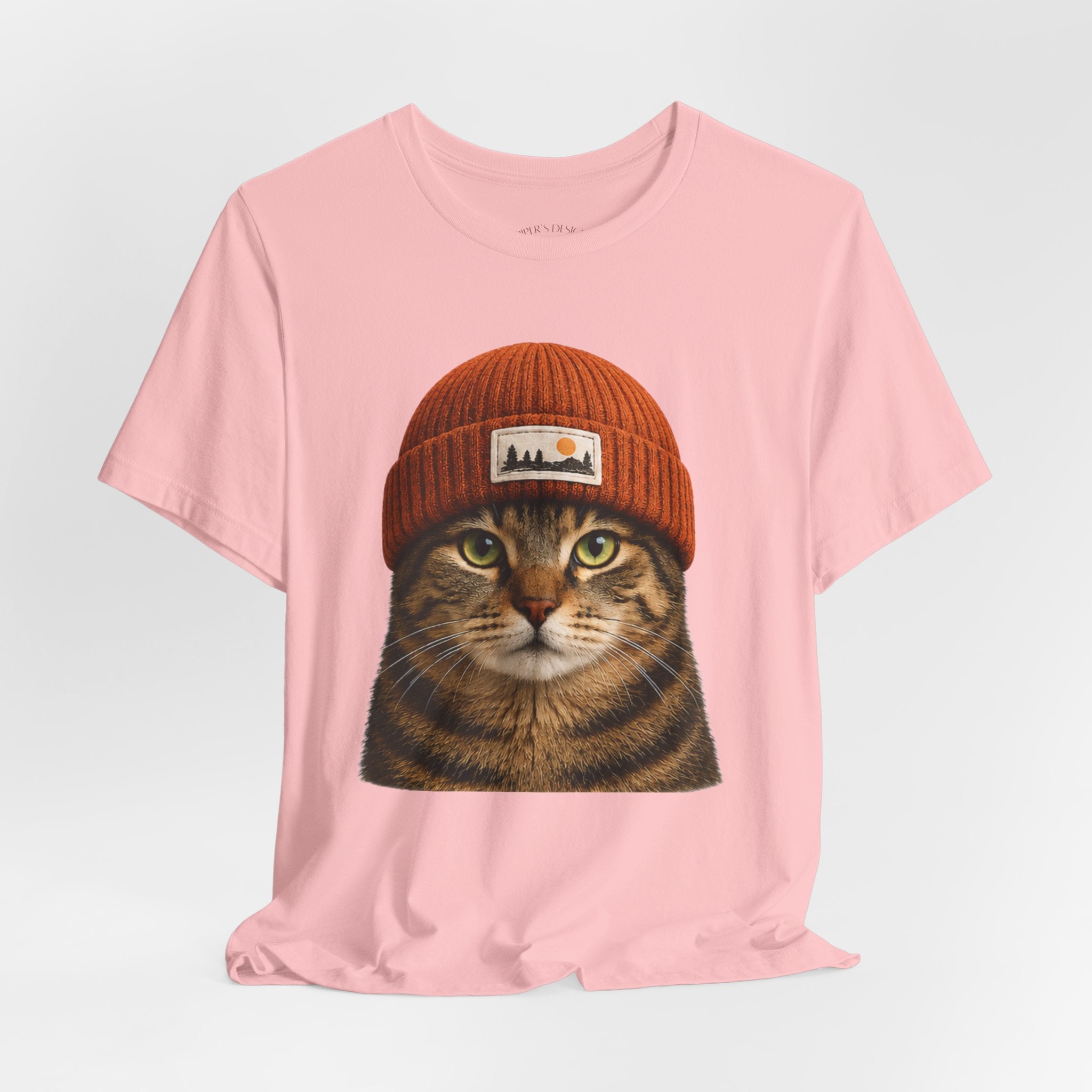 Tabby Cat in a Beanie