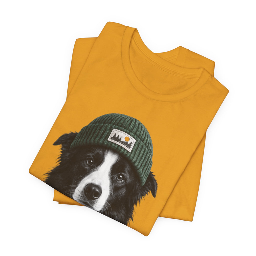 Border Collie in a Beanie