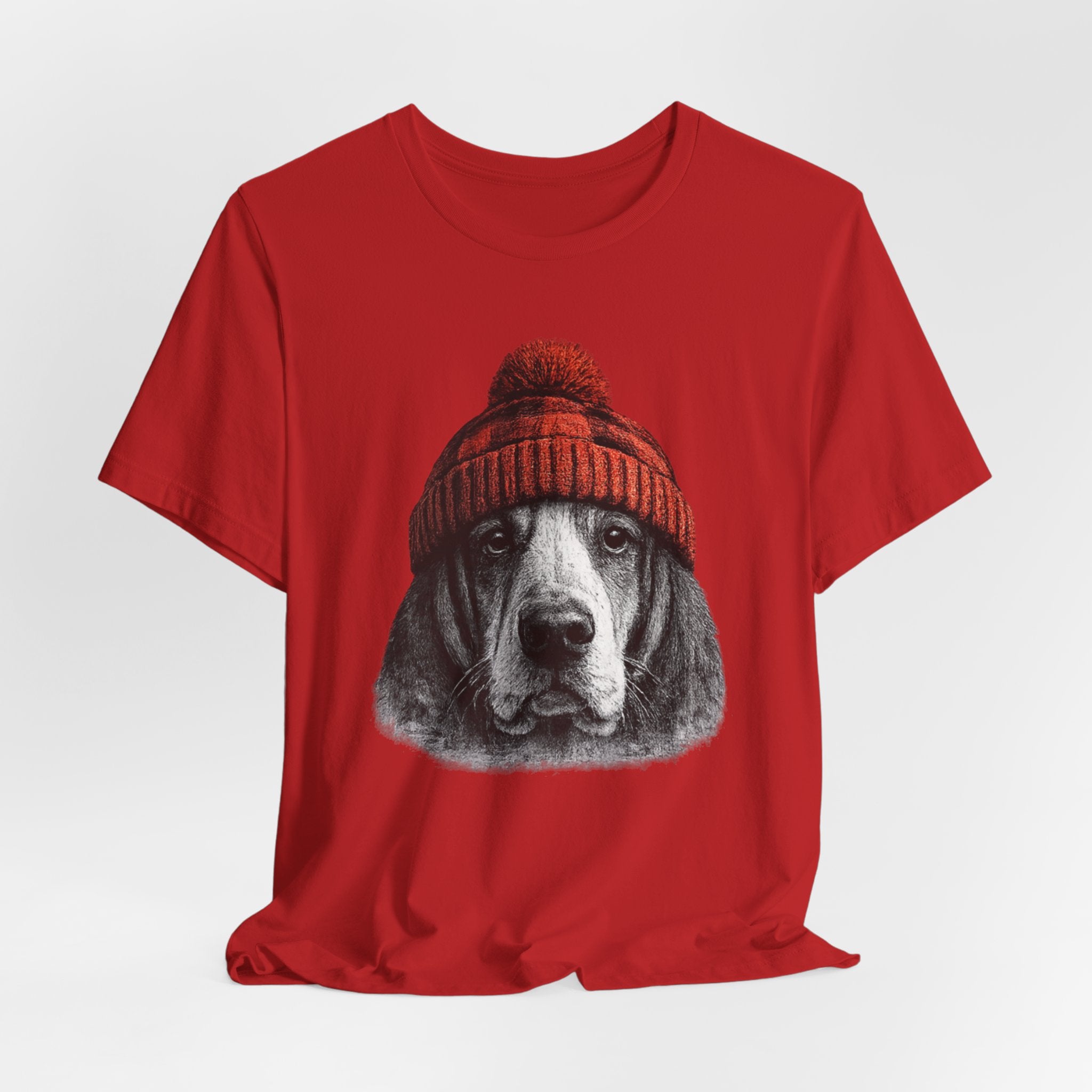 Basset in a Beanie