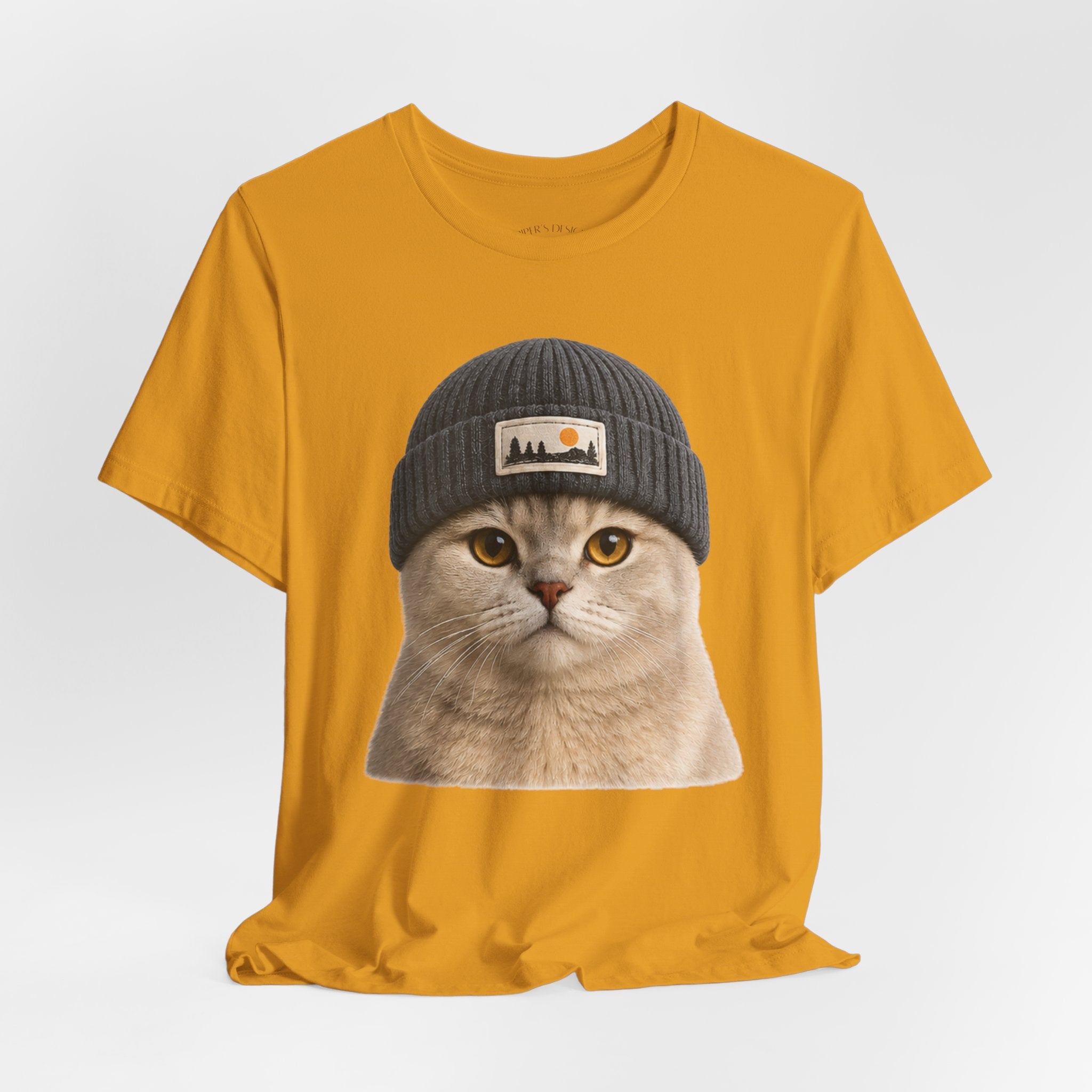 British Shorthair Cat in a Beanie
