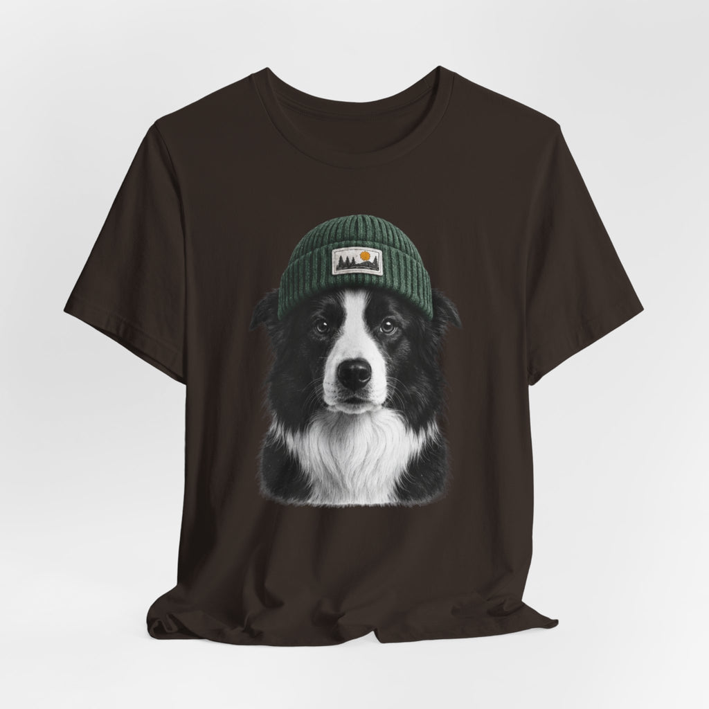 Border Collie in a Beanie