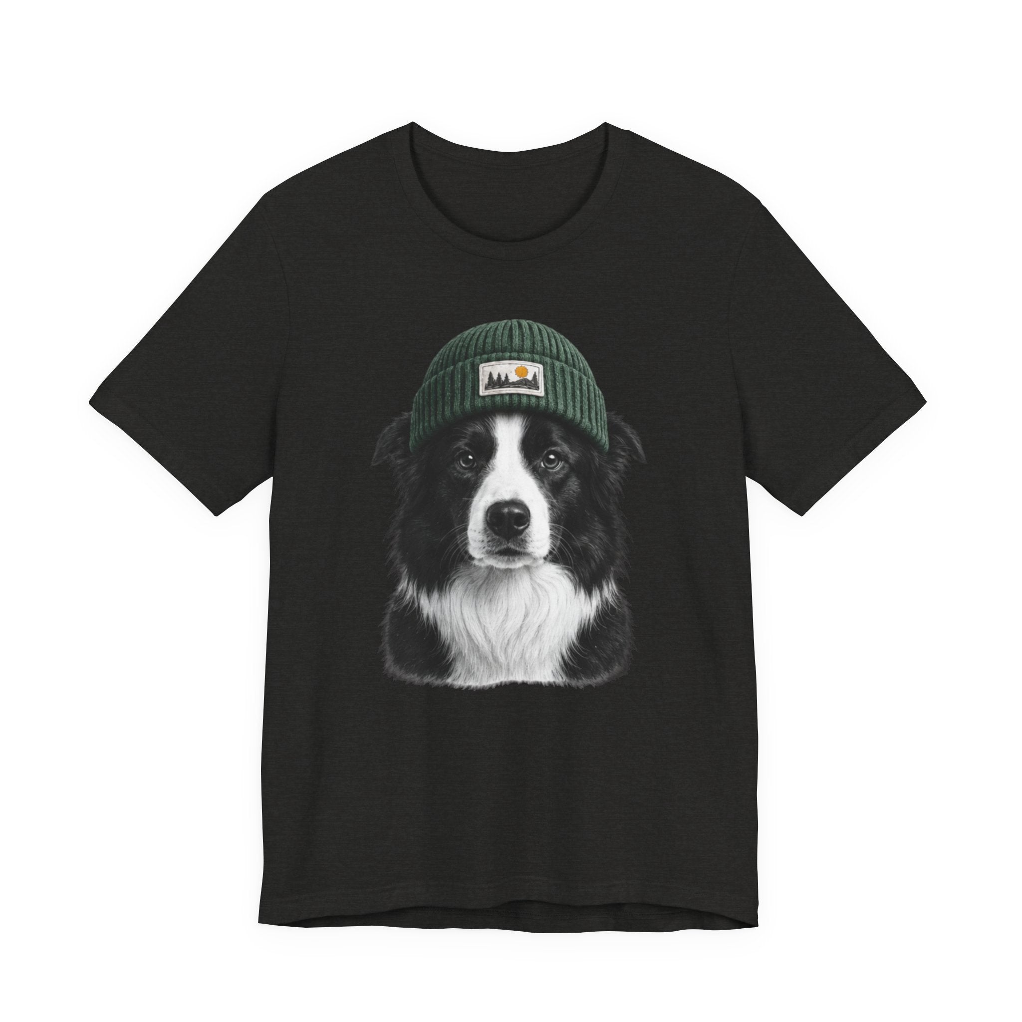 Border Collie in a Beanie