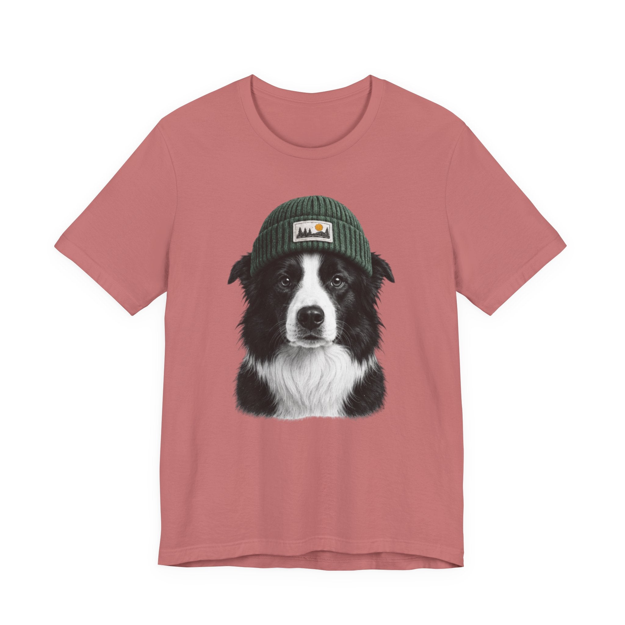 Border Collie in a Beanie