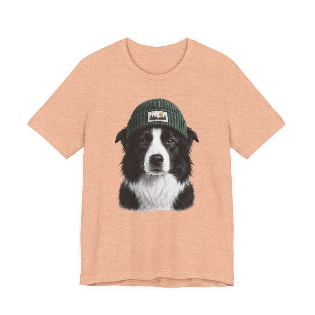 Border Collie in a Beanie
