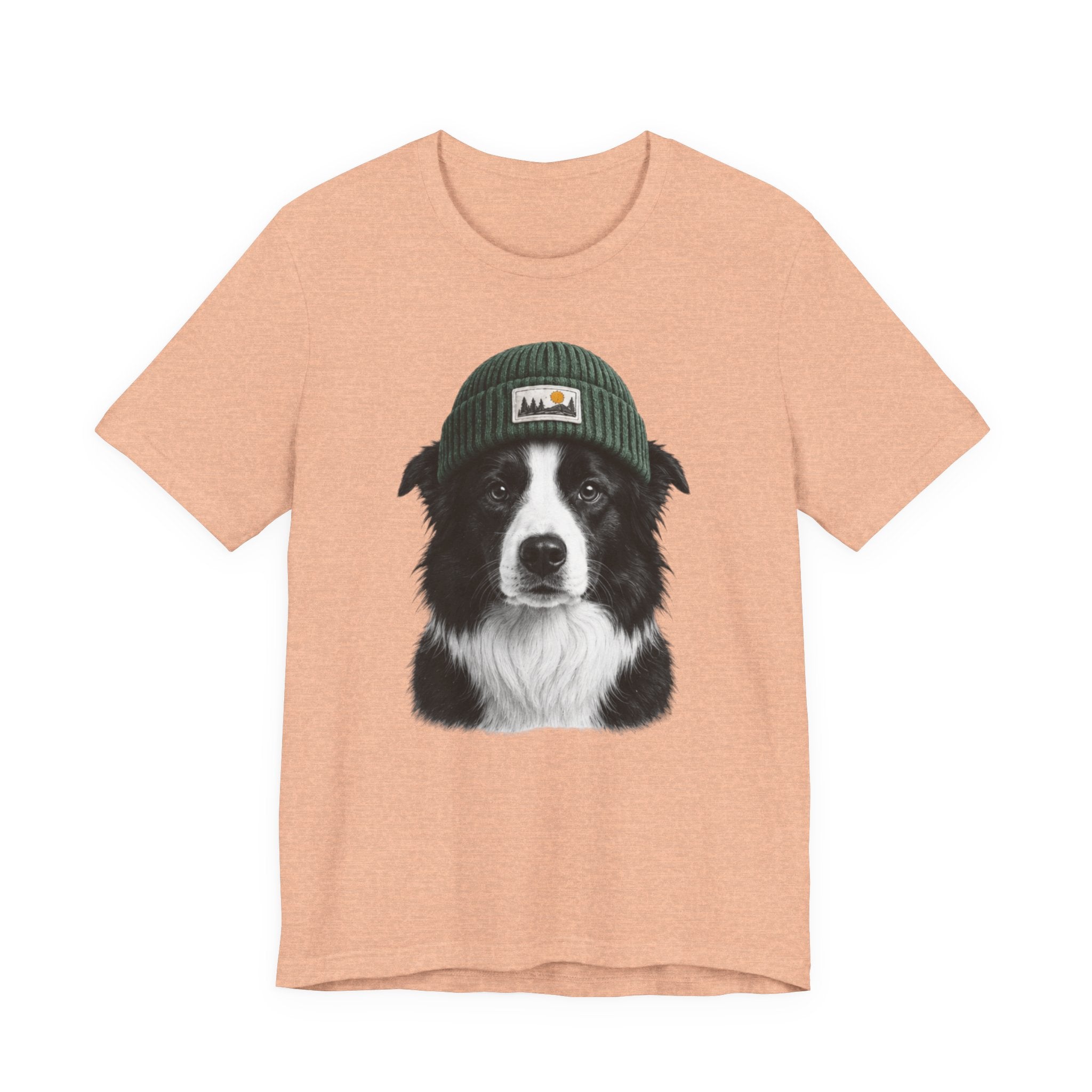 Border Collie in a Beanie
