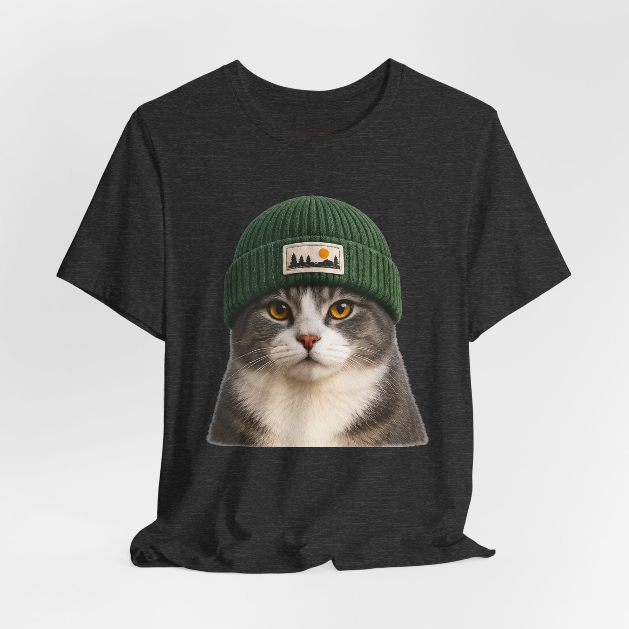 Cat in a Beanie