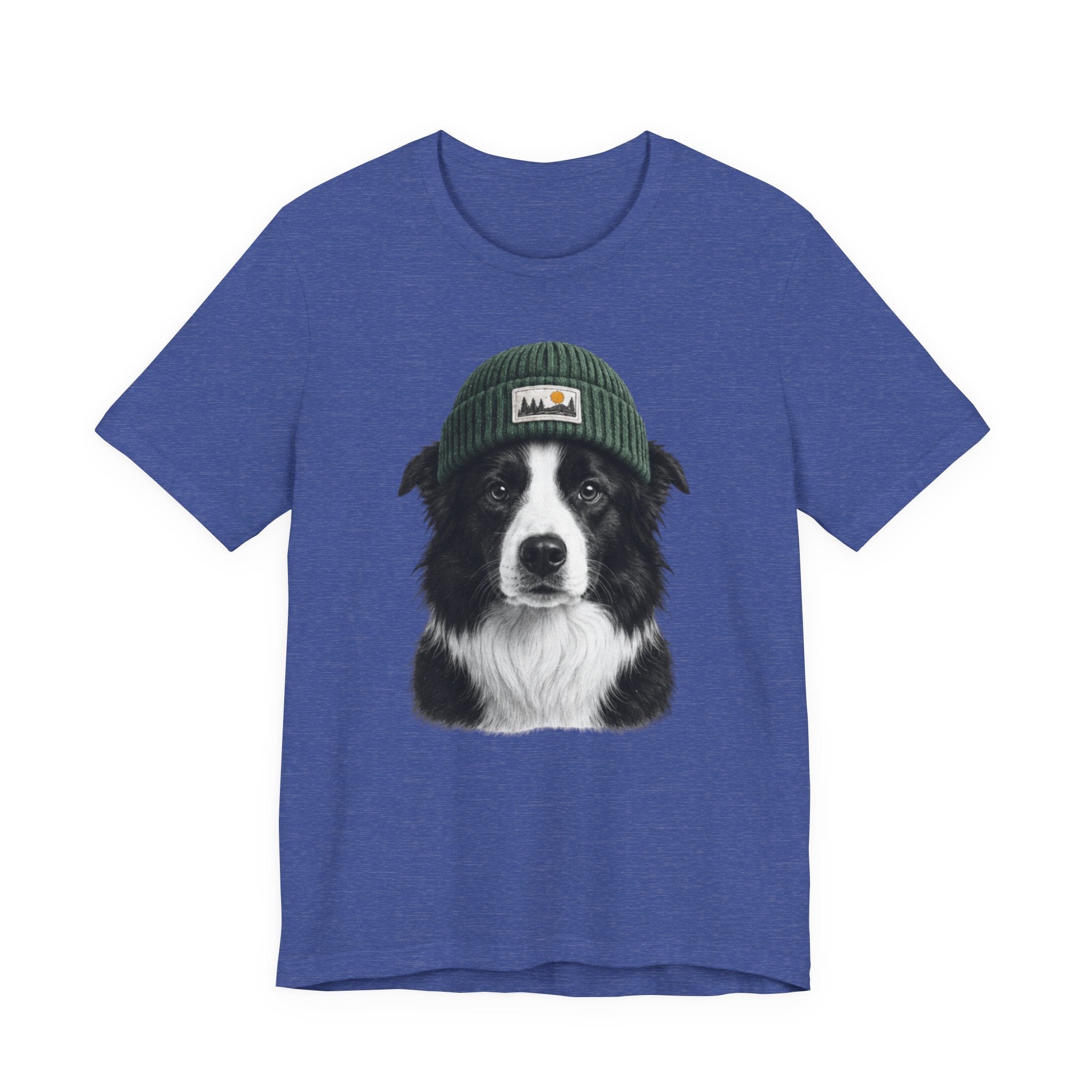 Border Collie in a Beanie