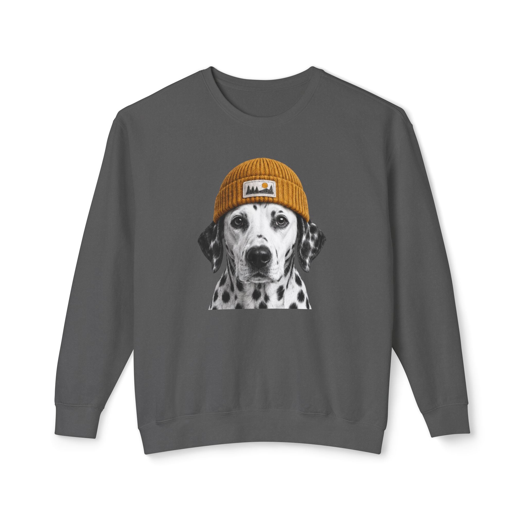 Dalmatian Beanie Sweatshirt