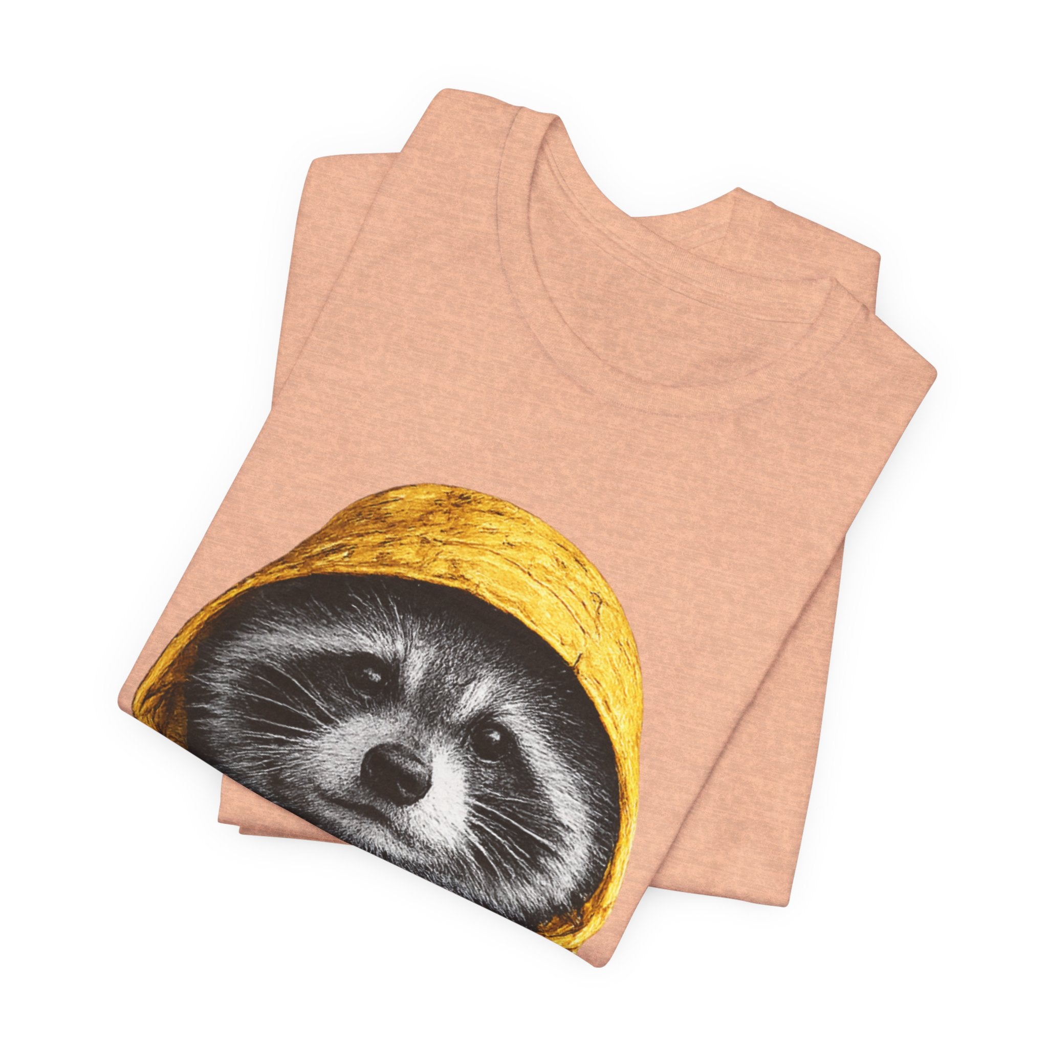 Raincoat Raccoon