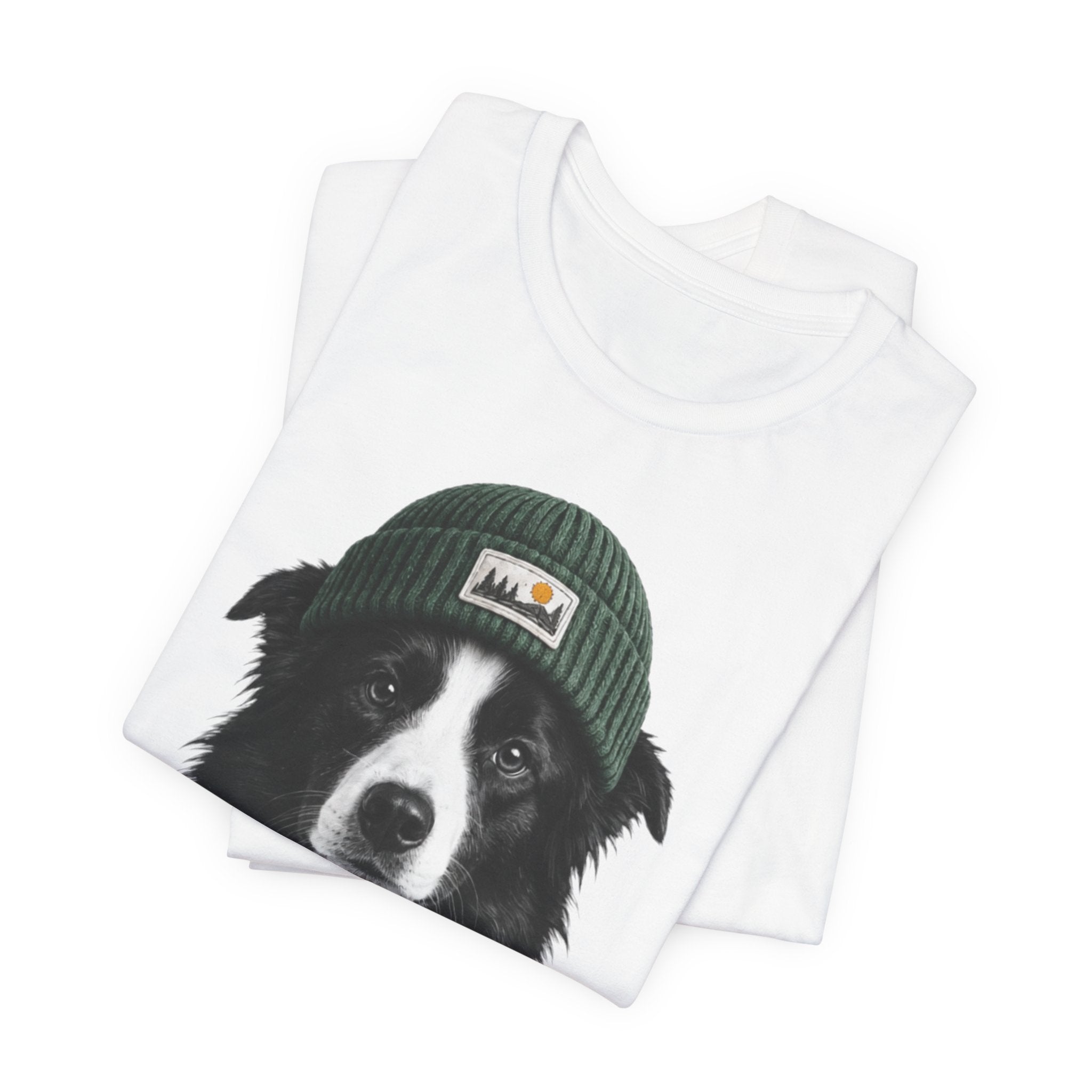 Border Collie in a Beanie