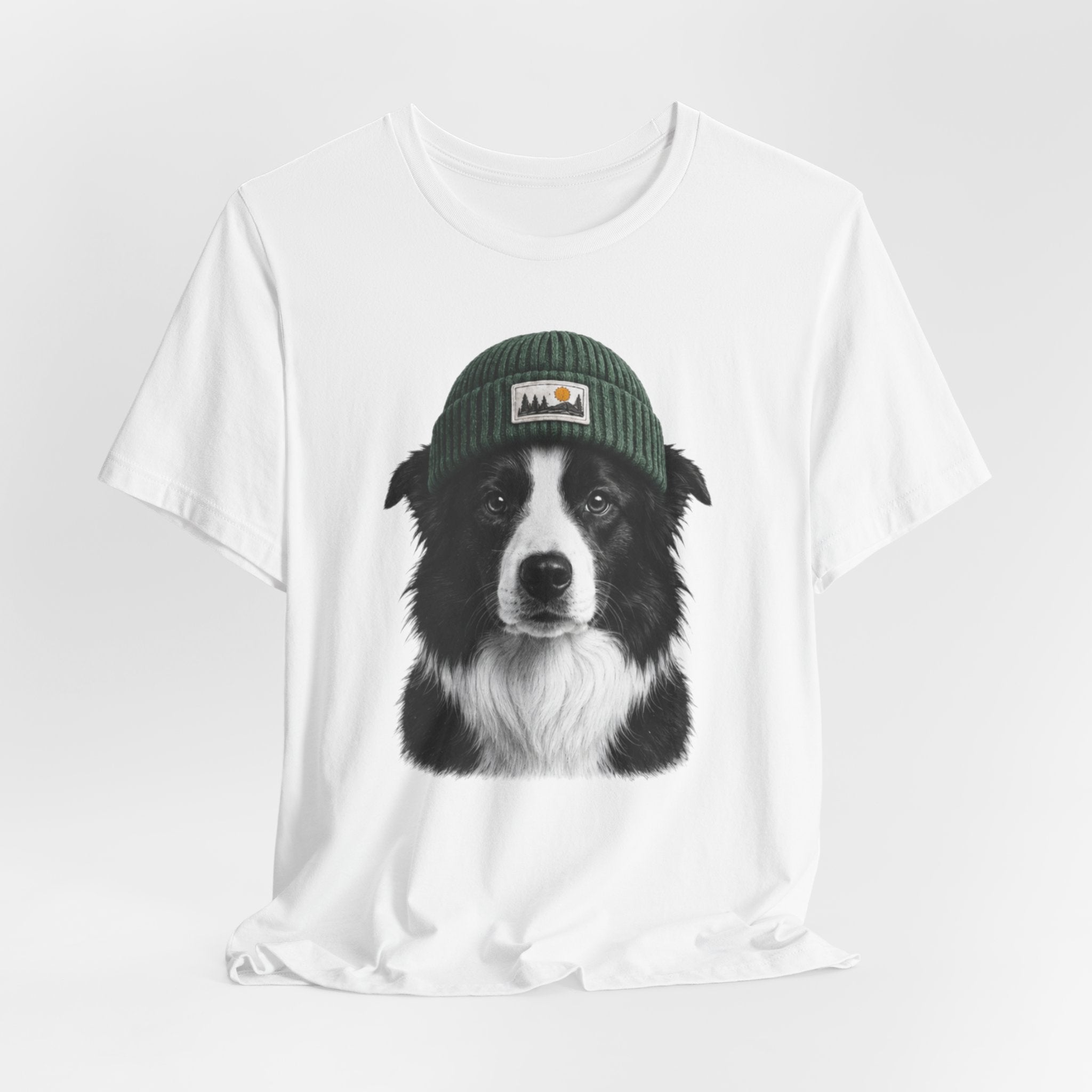 Border Collie in a Beanie