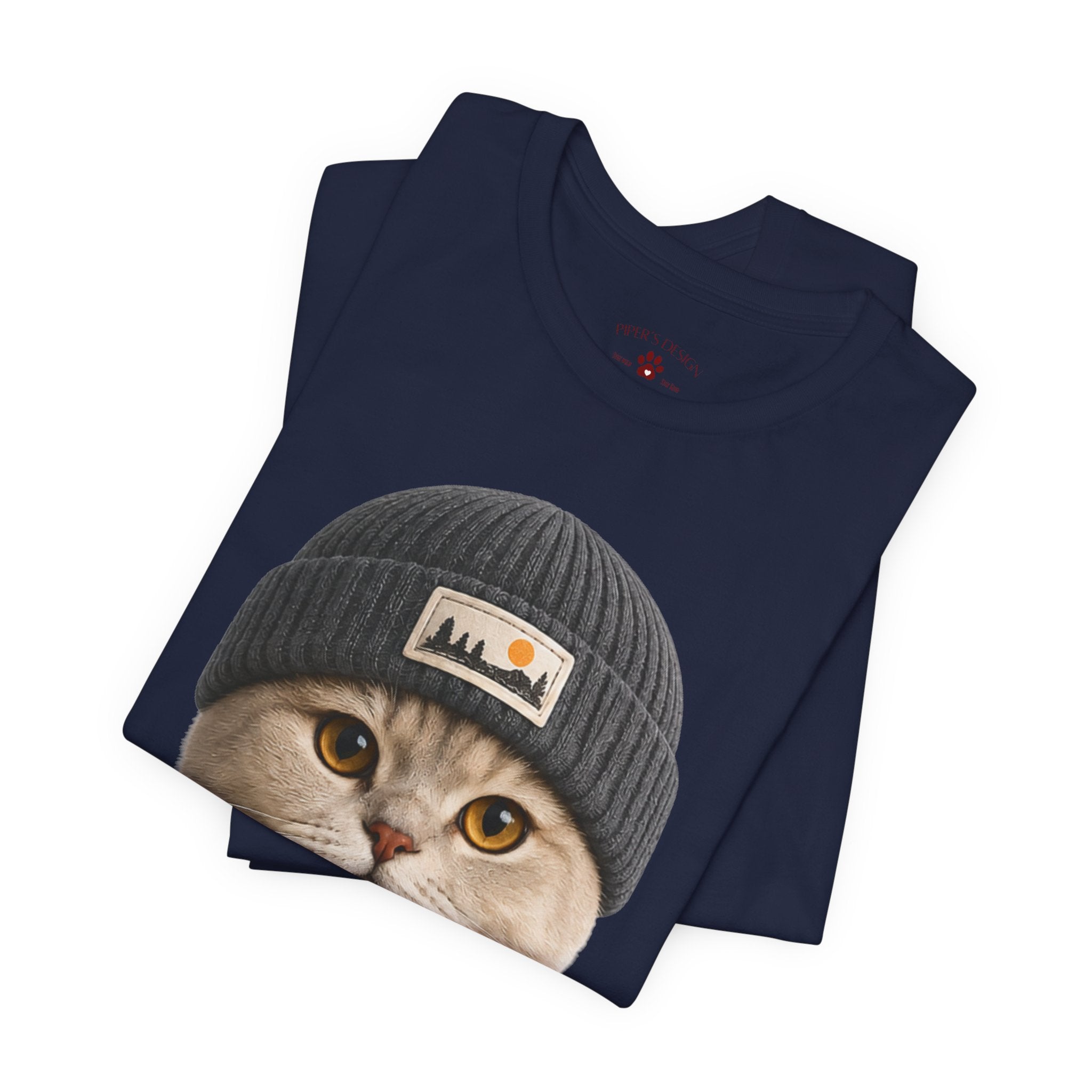 British Shorthair Cat in a Beanie