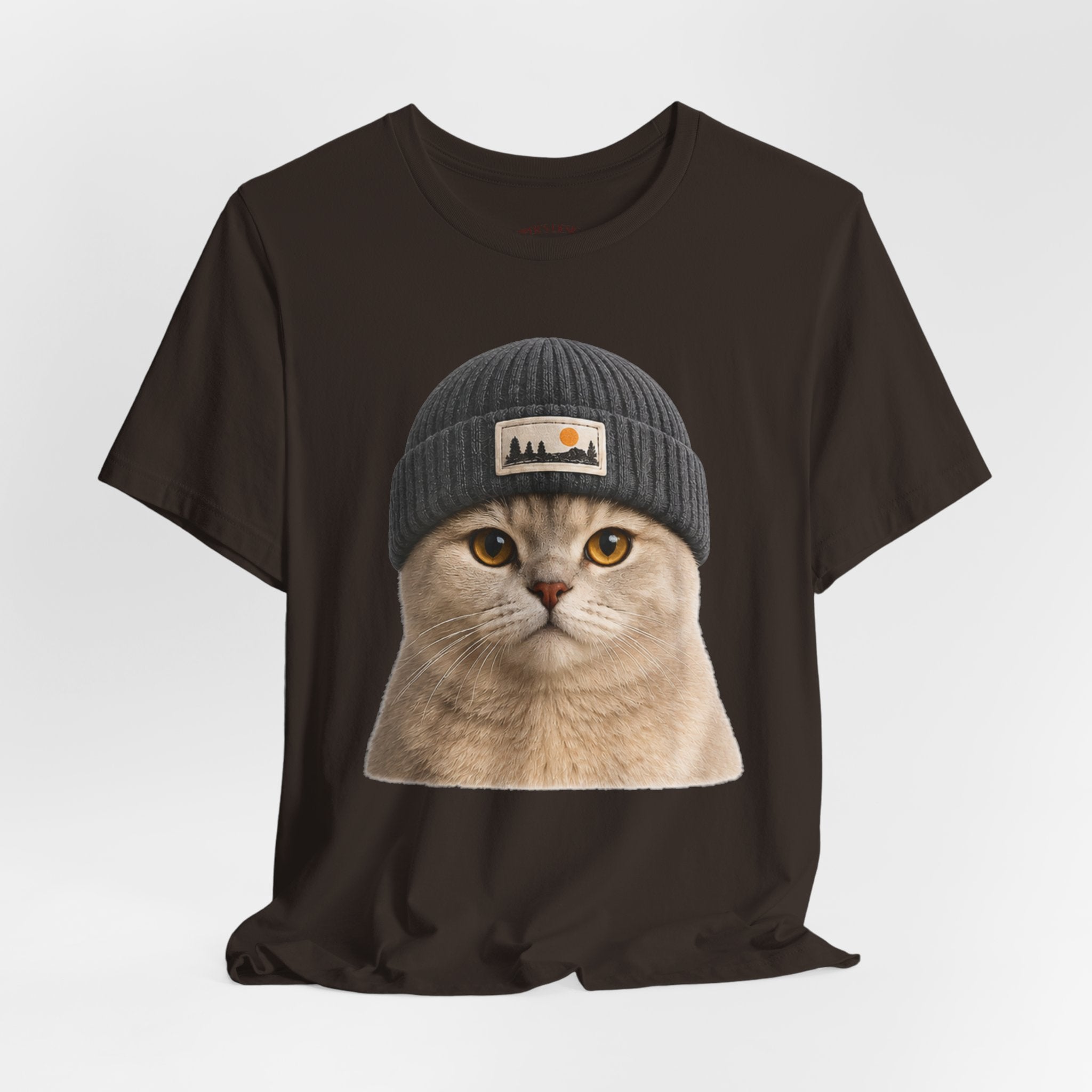 British Shorthair Cat in a Beanie