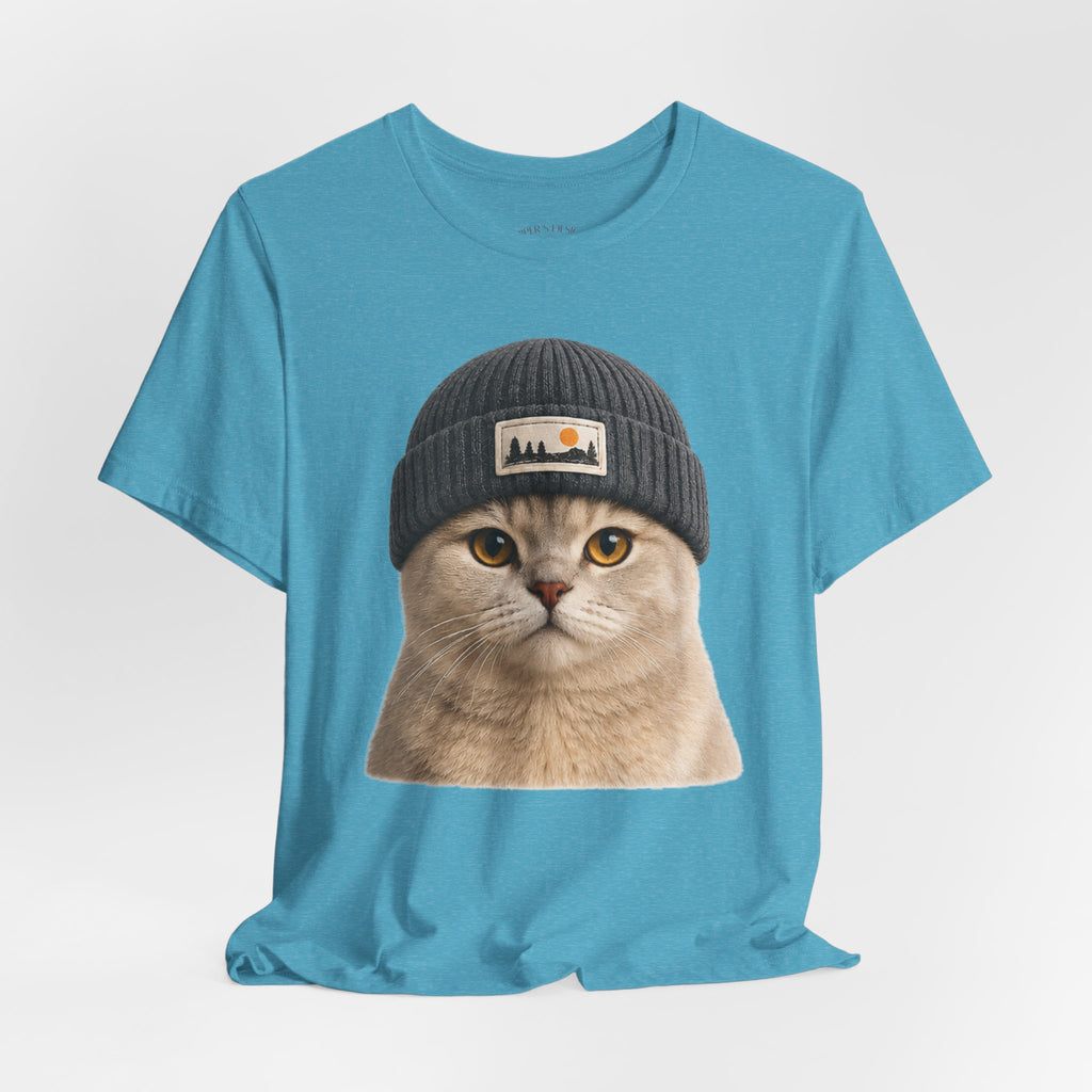British Shorthair Cat in a Beanie