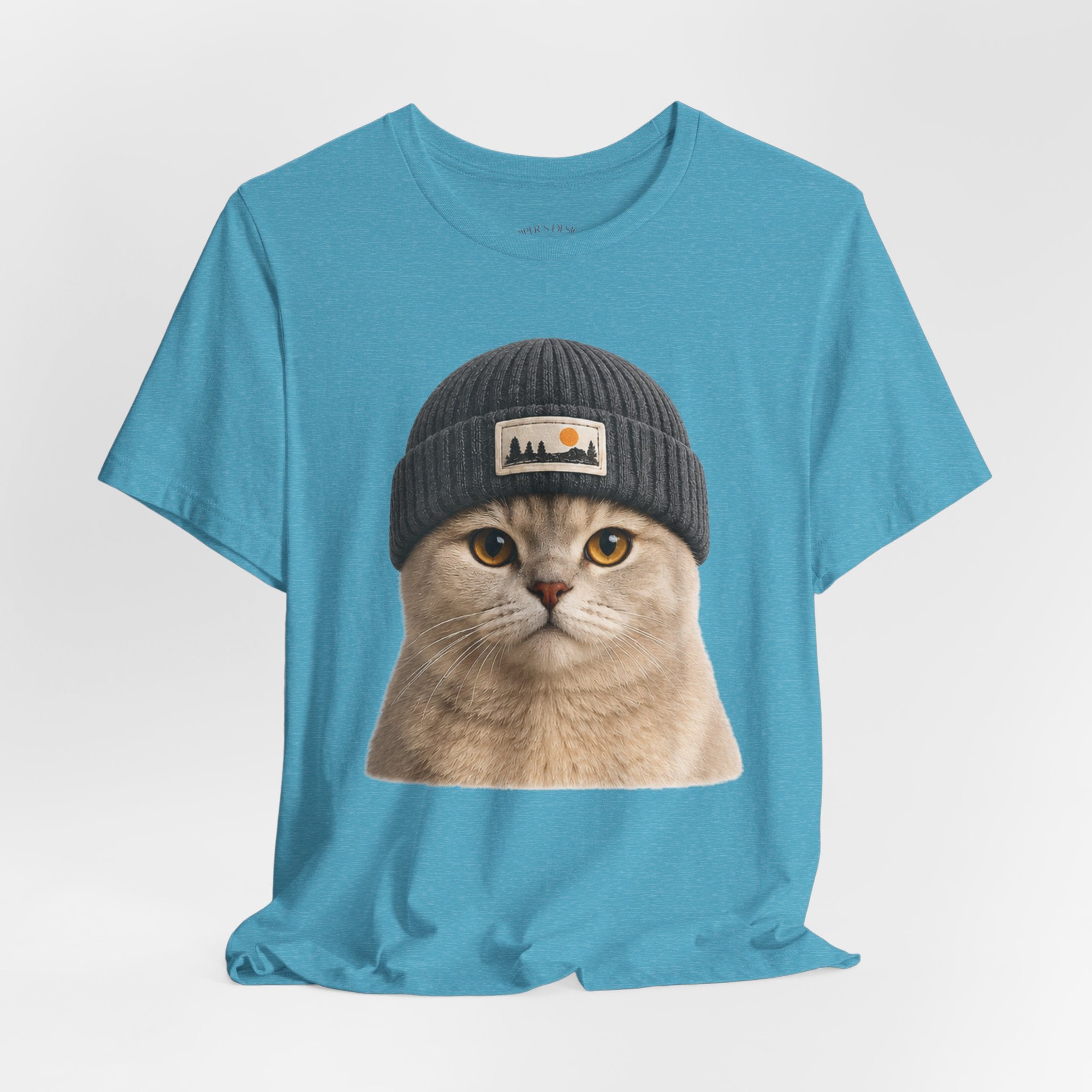 British Shorthair Cat in a Beanie