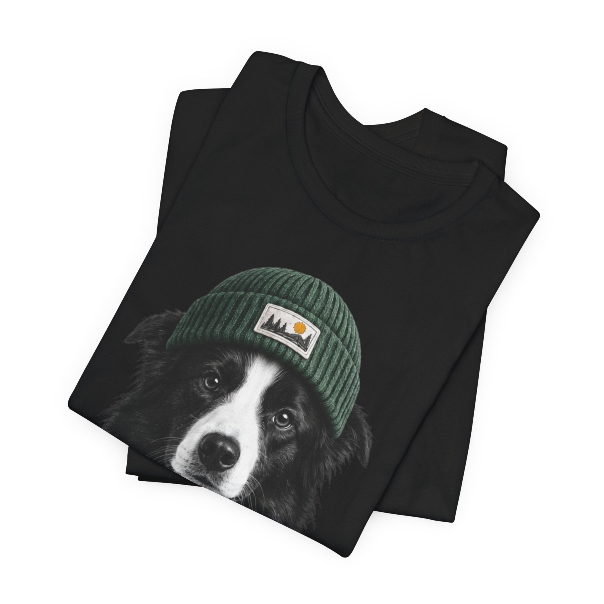 Border Collie in a Beanie