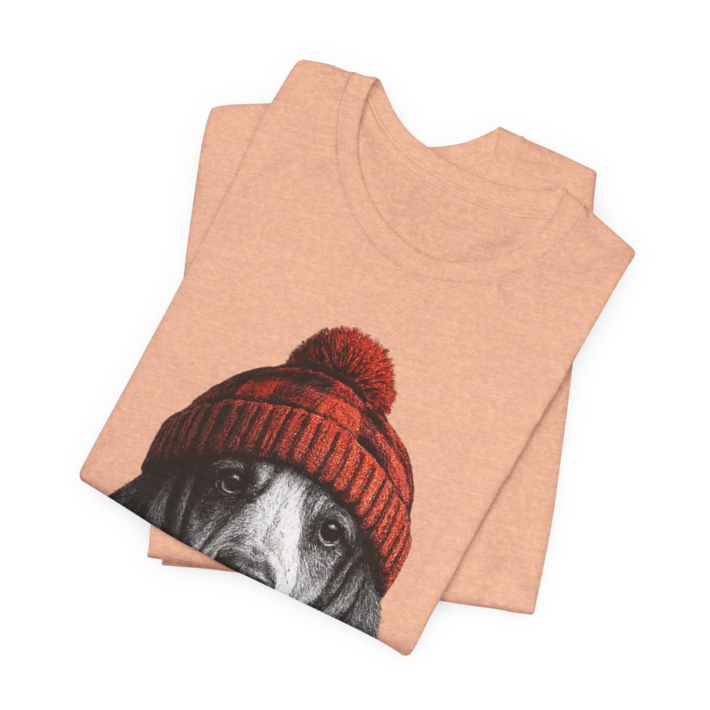 Basset in a Beanie