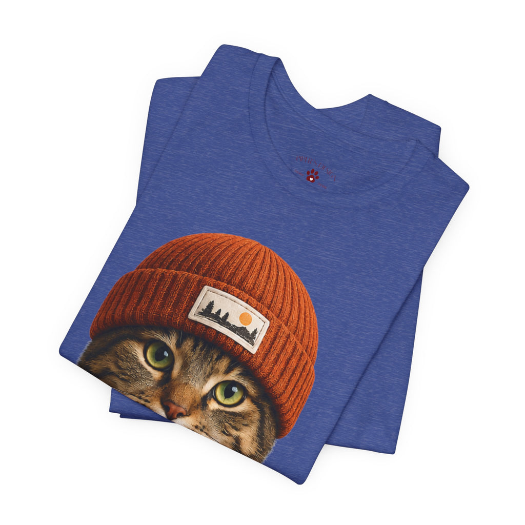 Tabby Cat in a Beanie