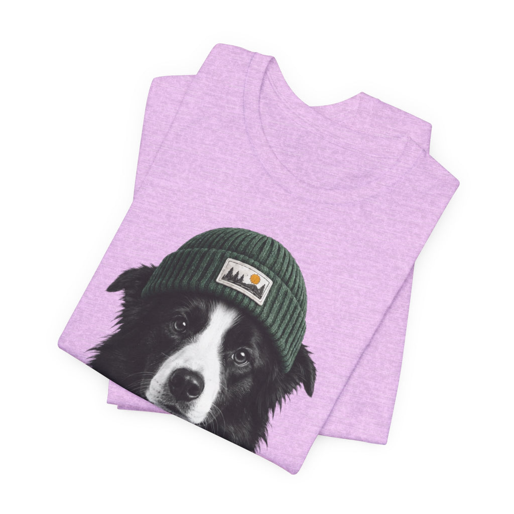 Border Collie in a Beanie