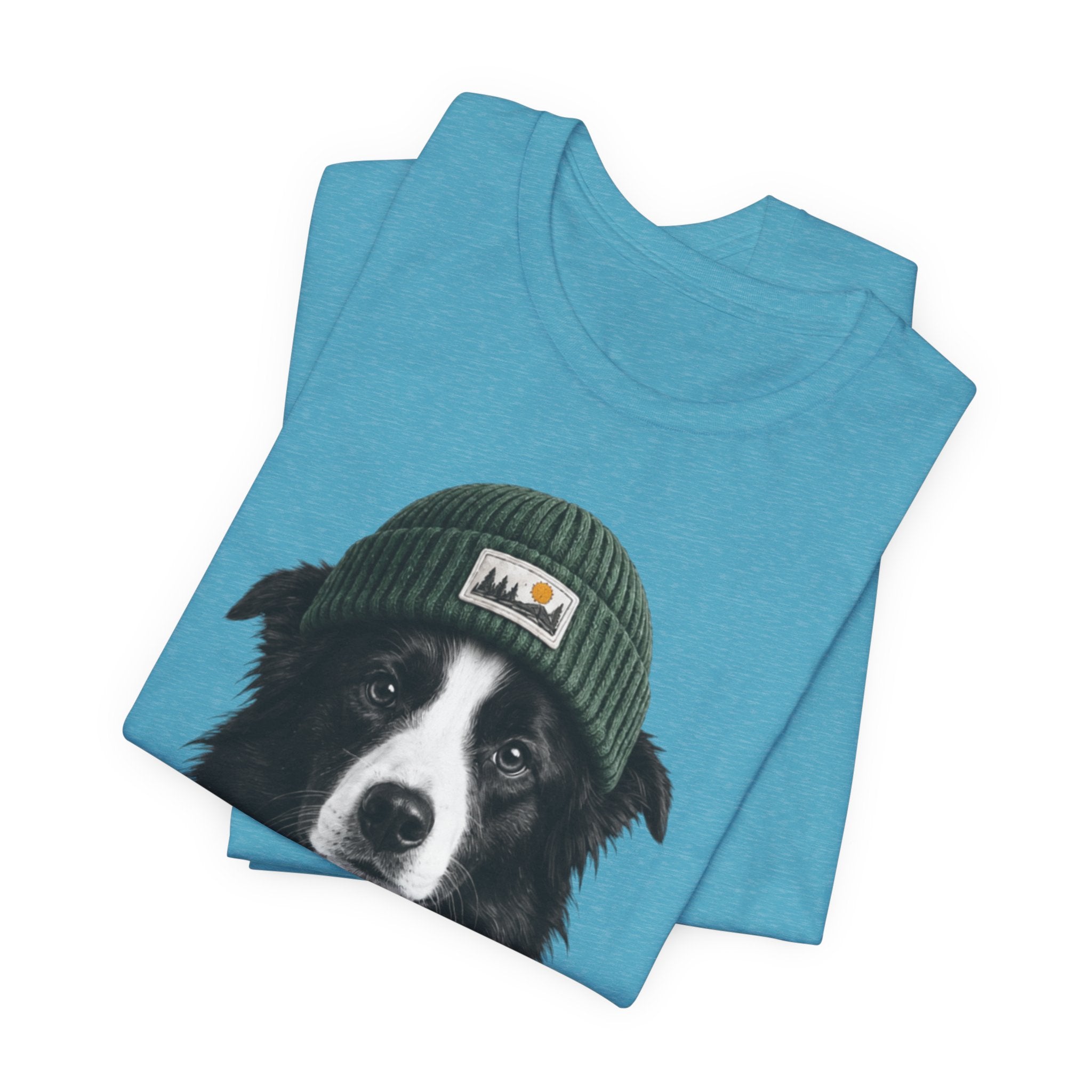 Border Collie in a Beanie