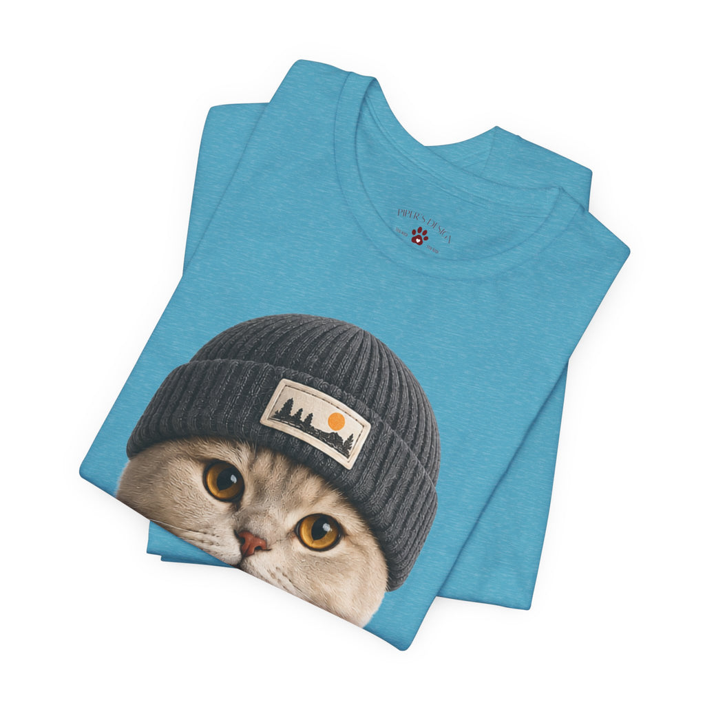 British Shorthair Cat in a Beanie