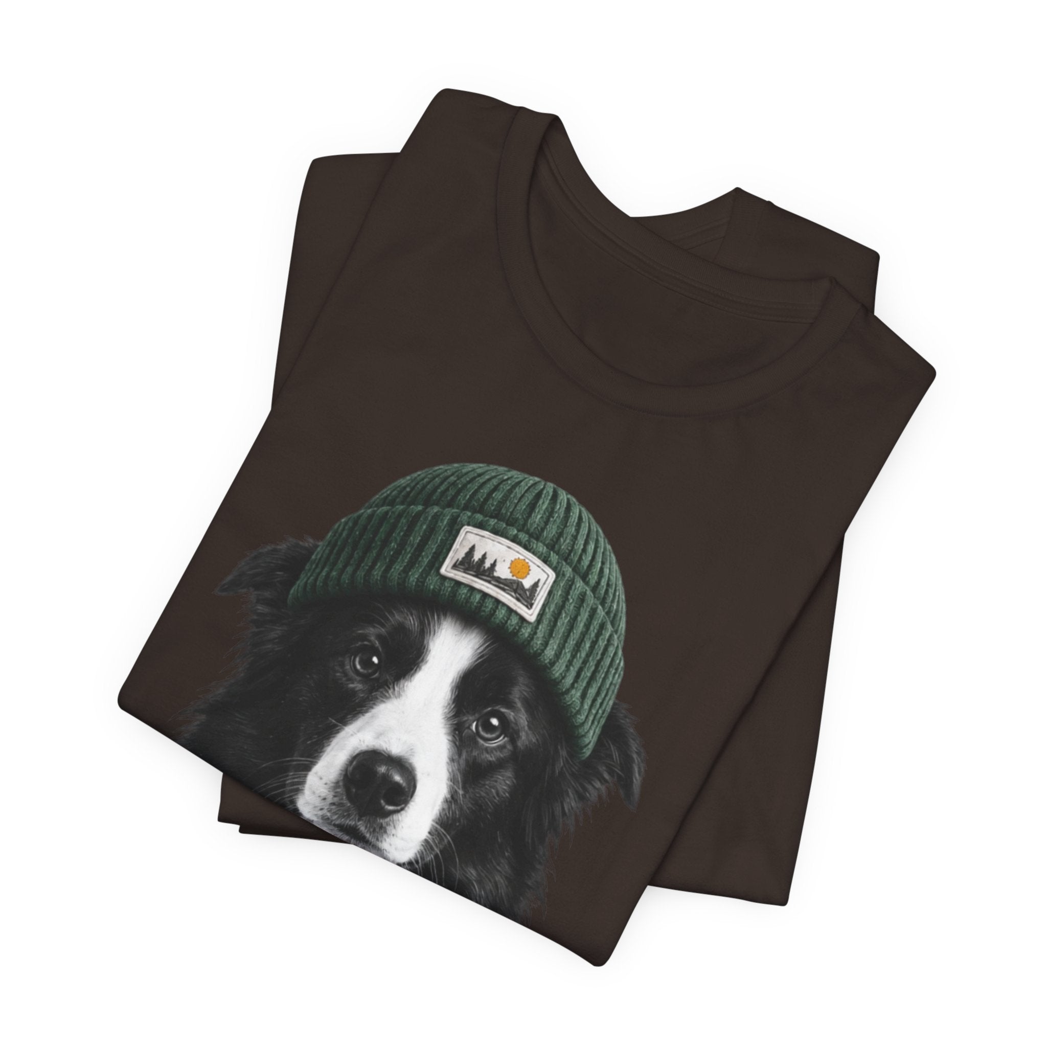 Border Collie in a Beanie