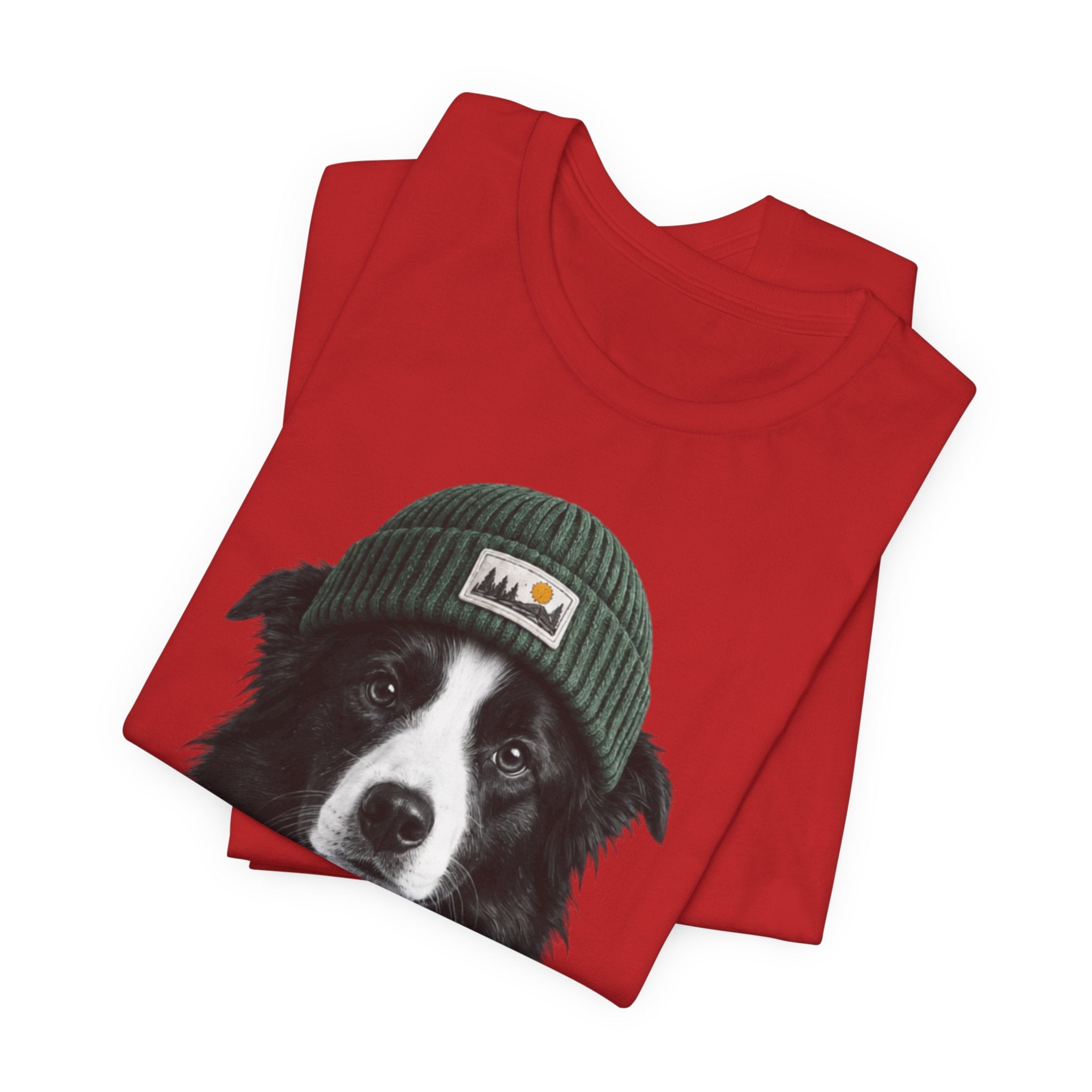 Border Collie in a Beanie