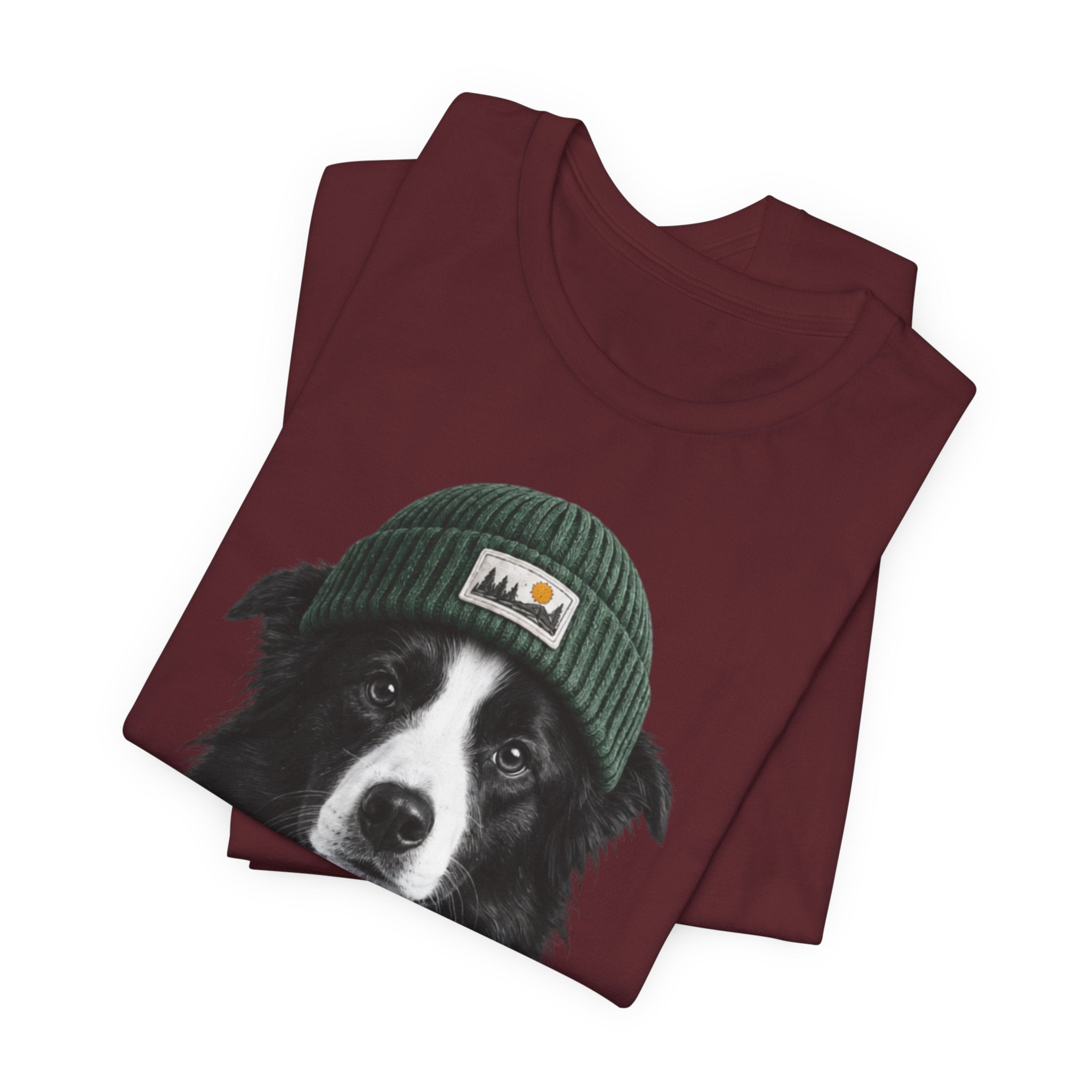 Border Collie in a Beanie
